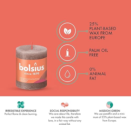 Miniatura 4 de BOLSIUS Paquete de 4 velas rústicas de pilar de color gris pardo, 2.75 x 3.25 pulgadas, calidad europea premium, incluye cera natural a base de