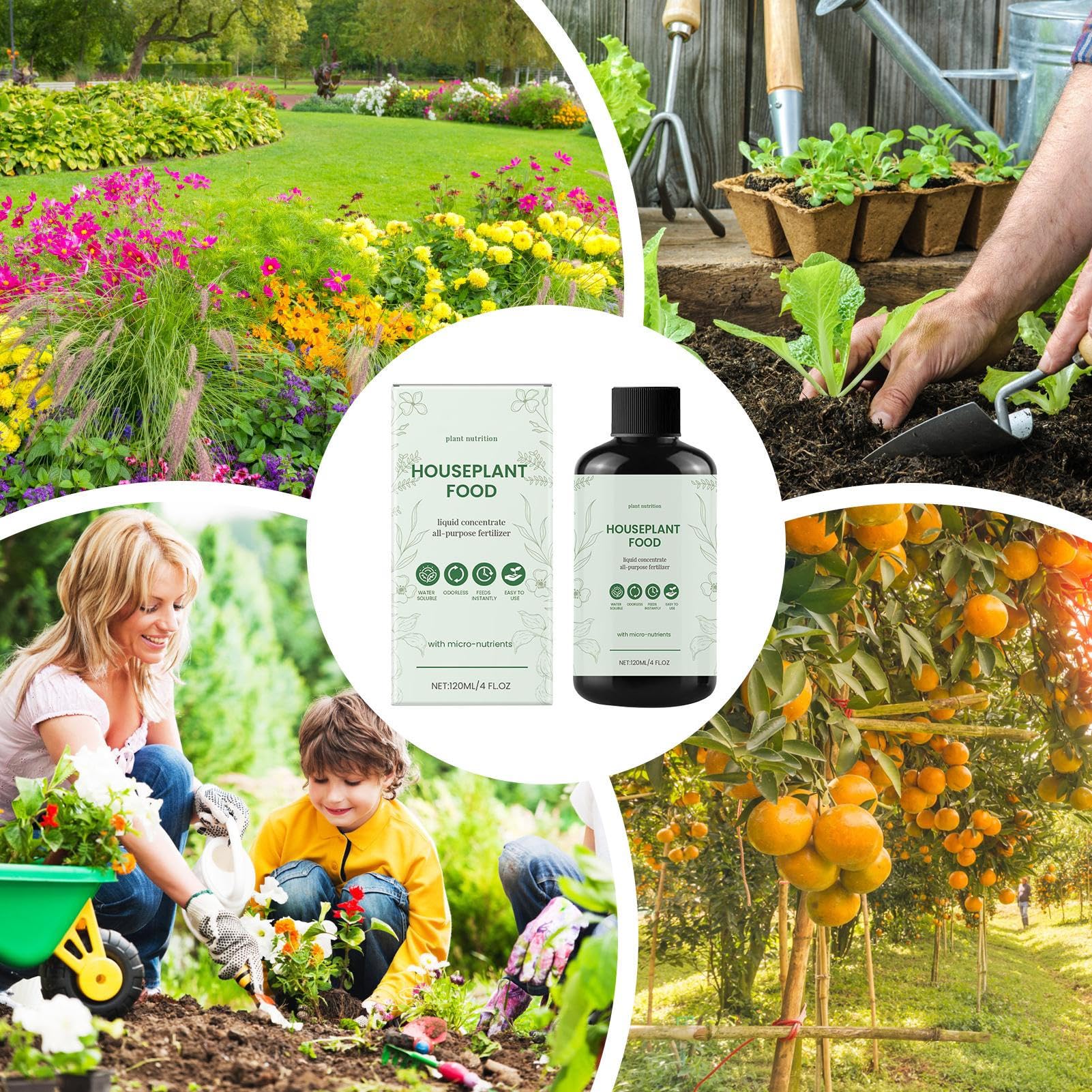 Plant Fertilizer, All Purpose Plant Food, 1.88x3.85 inch Safe Nutrient Solution, Efficient Growth Enhancer, Natural Floral Food for Garden, Lawn Care, Hydroponic Use