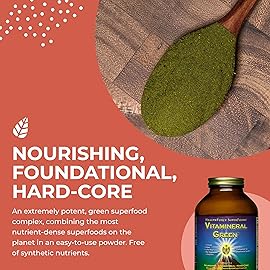 HealthForce SuperFoods Vitamineral Green 300 Grams Powder