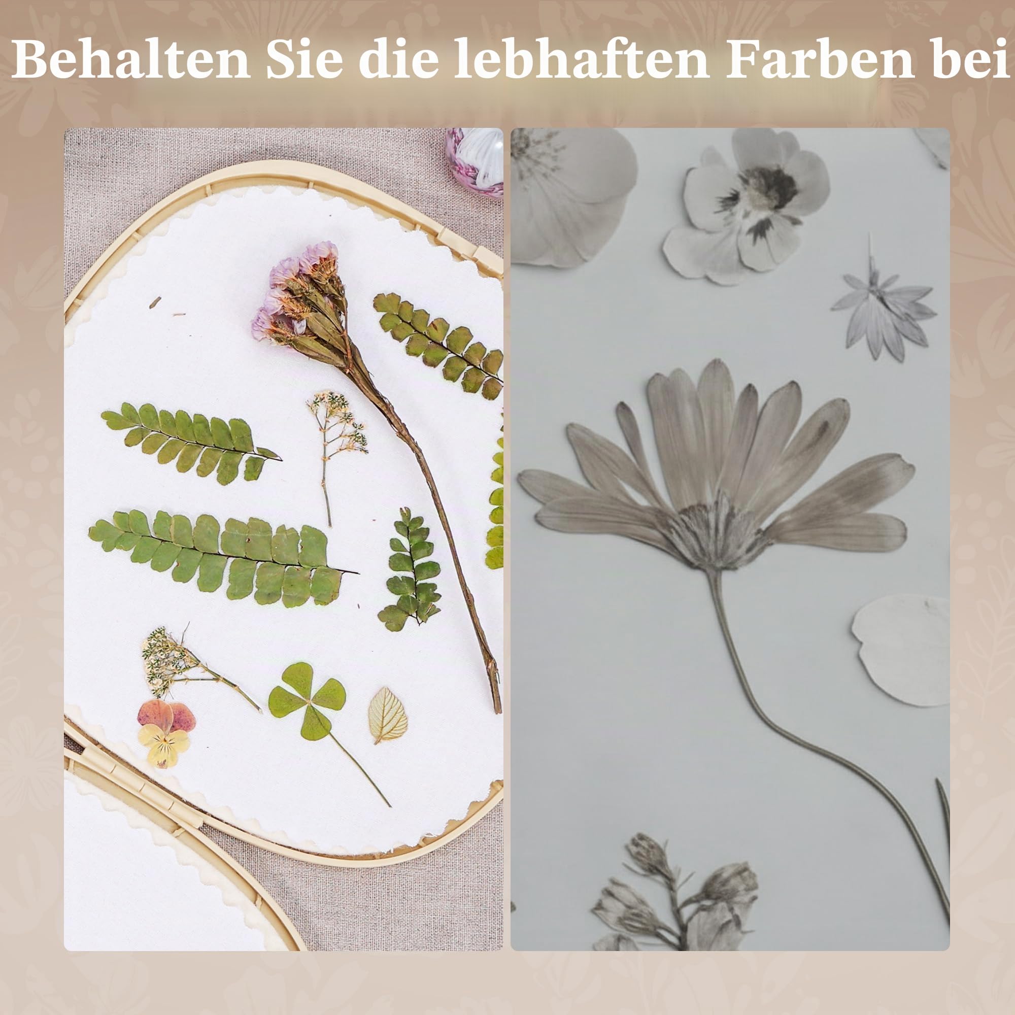Aboofx Mikrowellen Blumenpresse(22,9x22,9 cm), Schnellste Trocknung in Minuten, Großes Blumenpress Set für Blumen,Kräuter&Blätter, Wiederverwendbar Filzmatten, DIY Basteln, Herbarium, Resin Art