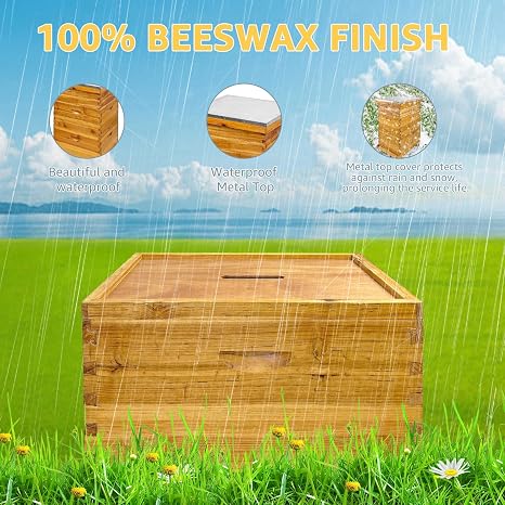 Beehive Boxes 3 Layer Langstroth Bee Hive Kit