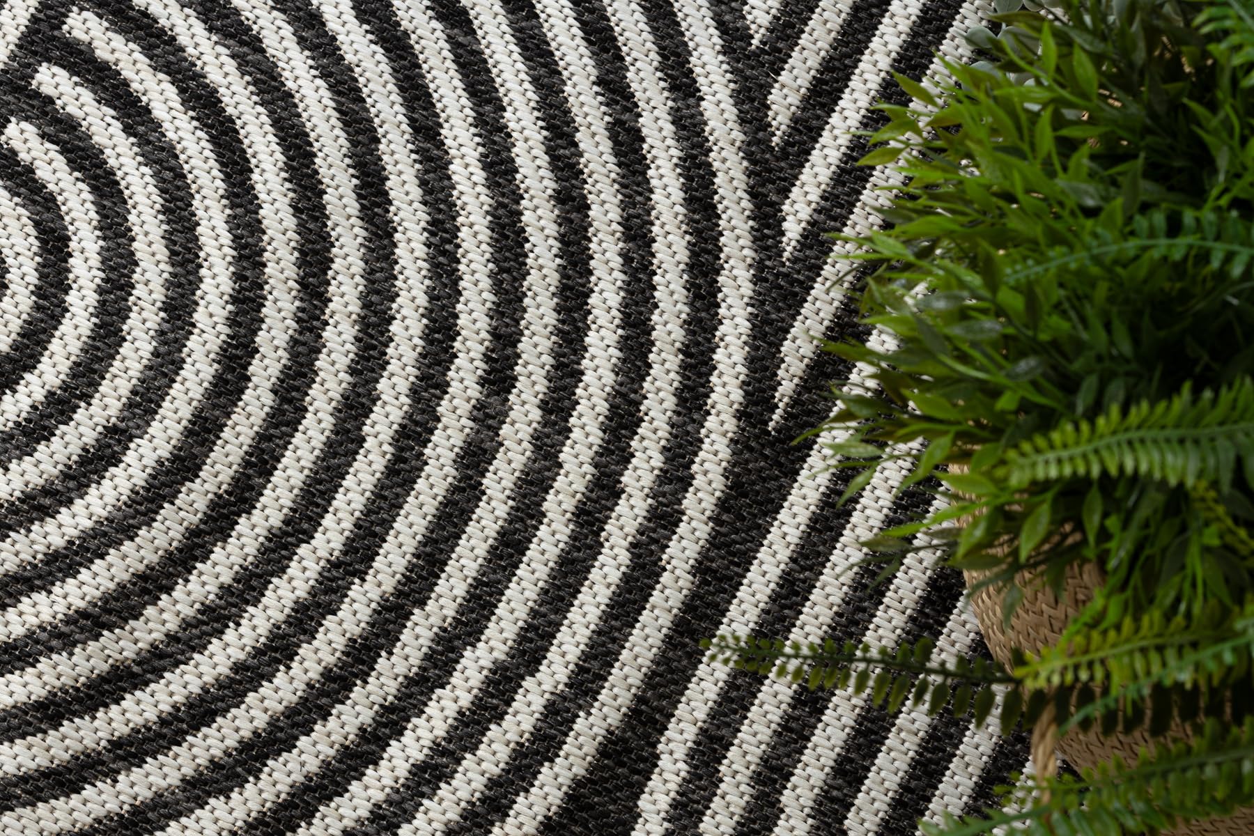 rugsx ORGANIC 1835 Tappeto sisal ecru/nero indoor & outdoor 200x290 cm