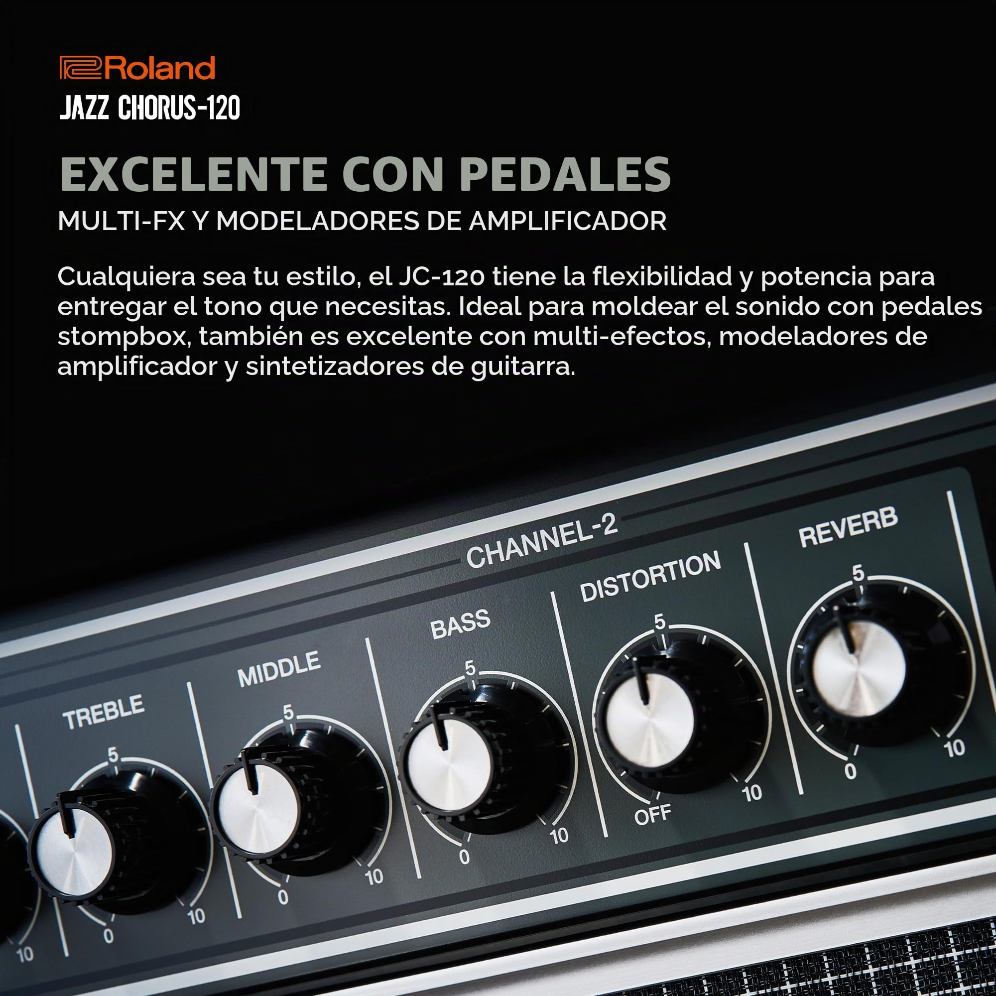Amazon.com: Roland JC-120 Jazz Chorus Amplificador de guitarra de