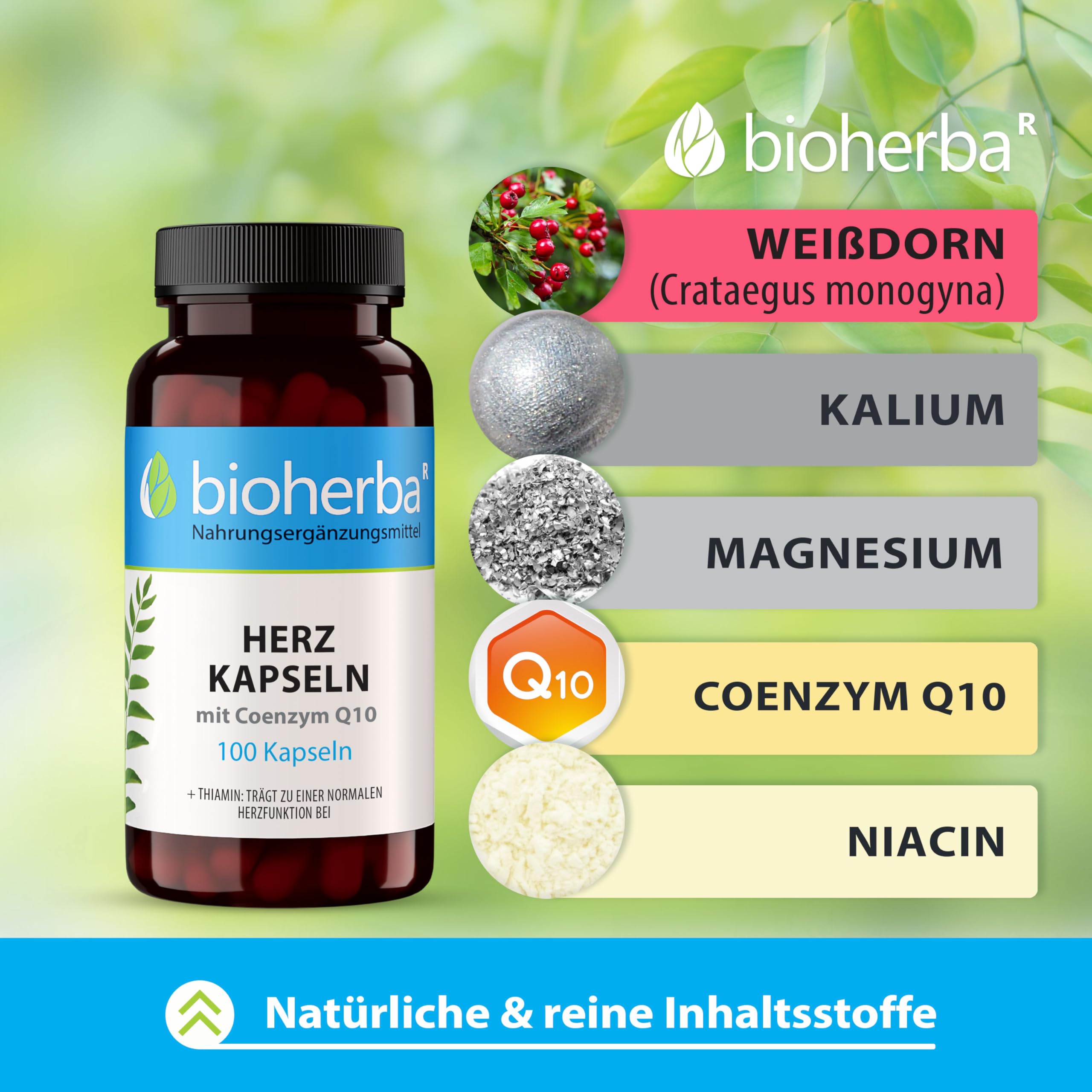 Bioherba Heart Essentials 100 Kapseln – Nahrungsergänzung mit Weißdorn, Kalium und Magnesium