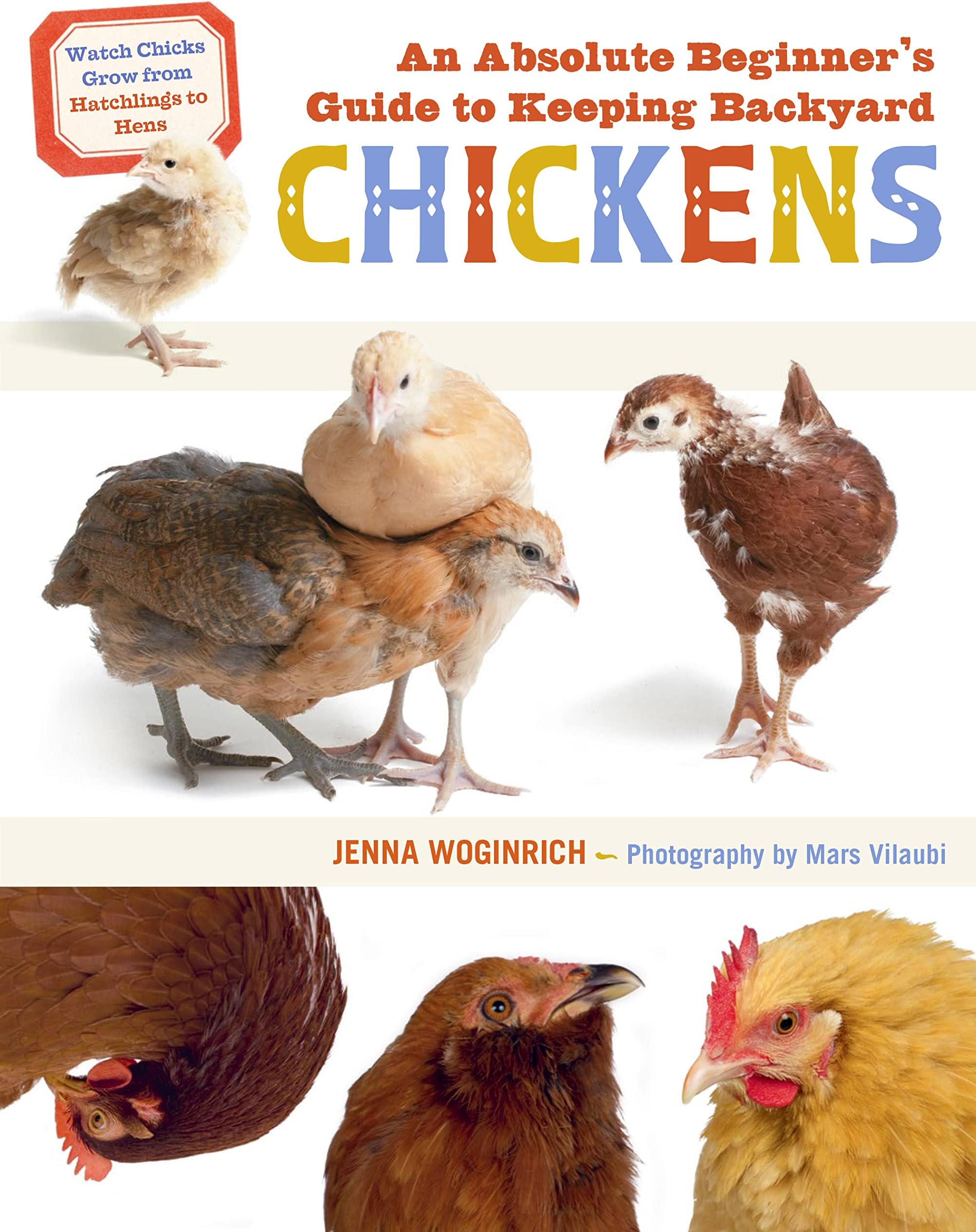 Absolute Beginner's Guide to Keeping Backyard Chickens: Watch Chicks Grow from Hatchlings to Hens