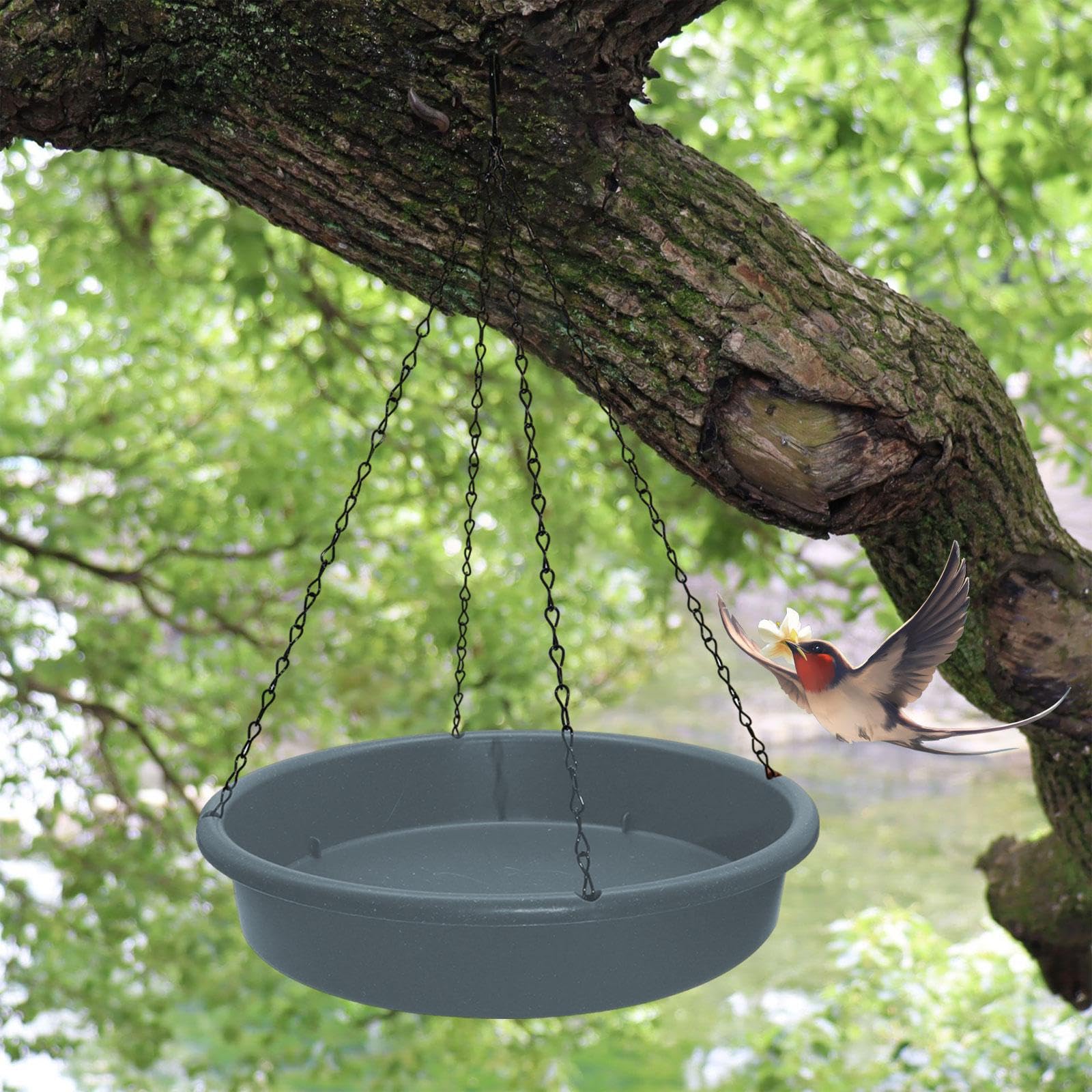 Mangeoire à Oiseaux, Abreuvoir, Bain d'oiseaux Suspendu Stable pour