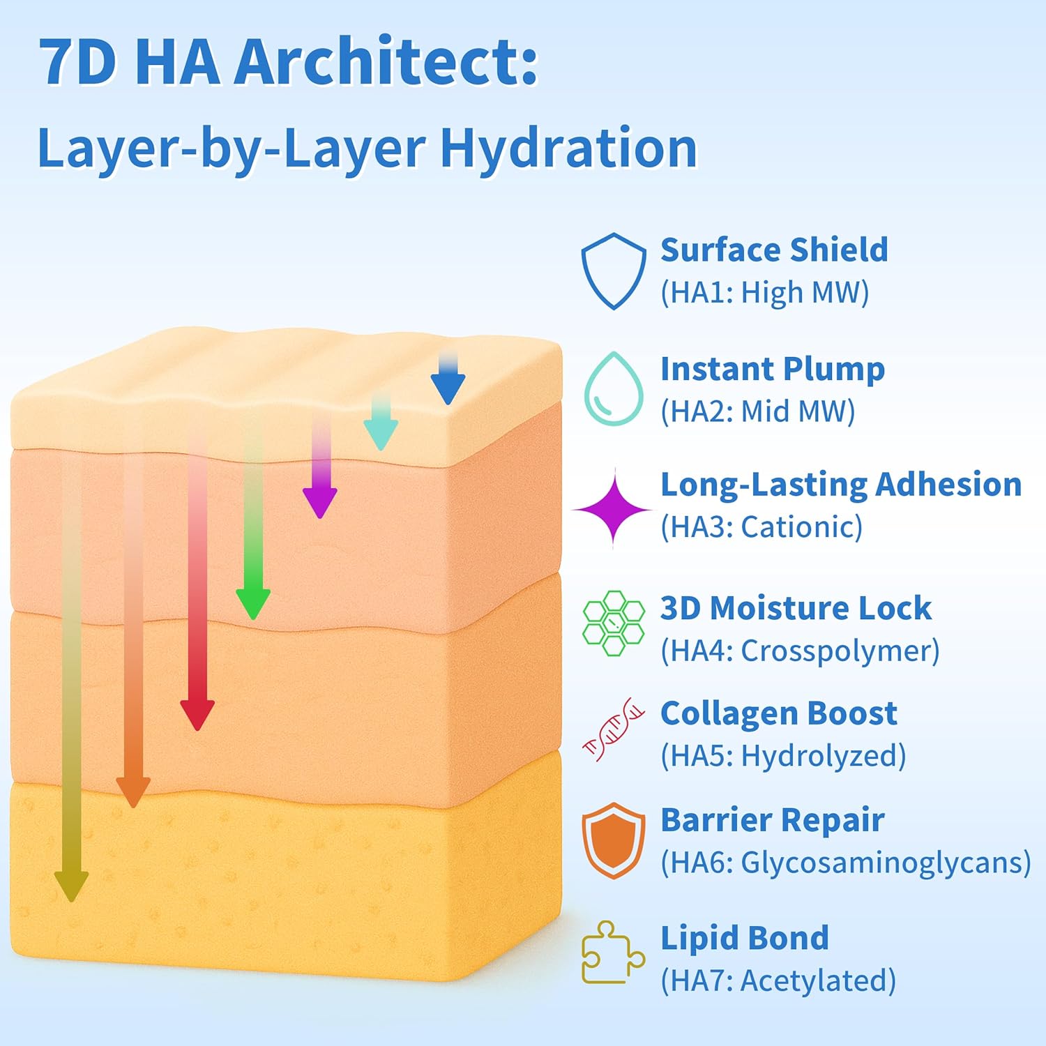 Ultra Hydrating Serum, 7D Deep Dive 3% Hyaluronic Acid Serum with 72-Hour Multi-Layer Lock and Recyclable Vials, Only HA + Solvent, Suitable for All Skin Types, 1.2ml x 30 - Image 4