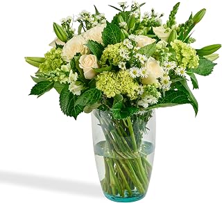 Bloom & Go Flowers Fresh Bouquet - Infinity, Fresh Cut Farm Direct Flowers - 14 Stems in Plastic-Free Packing - Swift 3-Day Delivery - Stunning Array of White Rose, Snapdragon, Lillies - No Vase