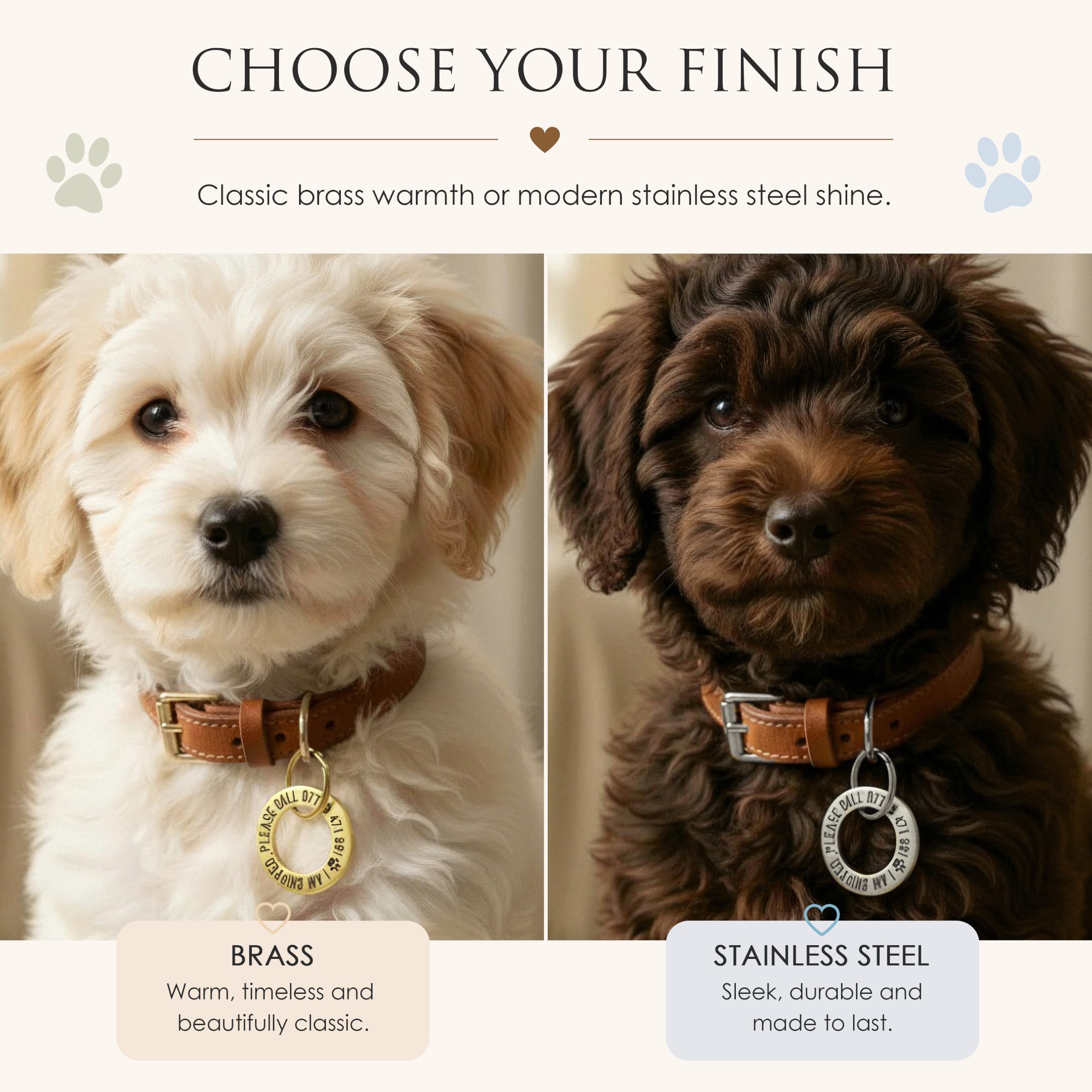 Médaille personnalisée pour animaux de compagnie – Bague d'identification gravée profonde en acier inoxydable (25 mm, taille S) – Médaille nom durable pour collier de chien ou chat – Fabriqué