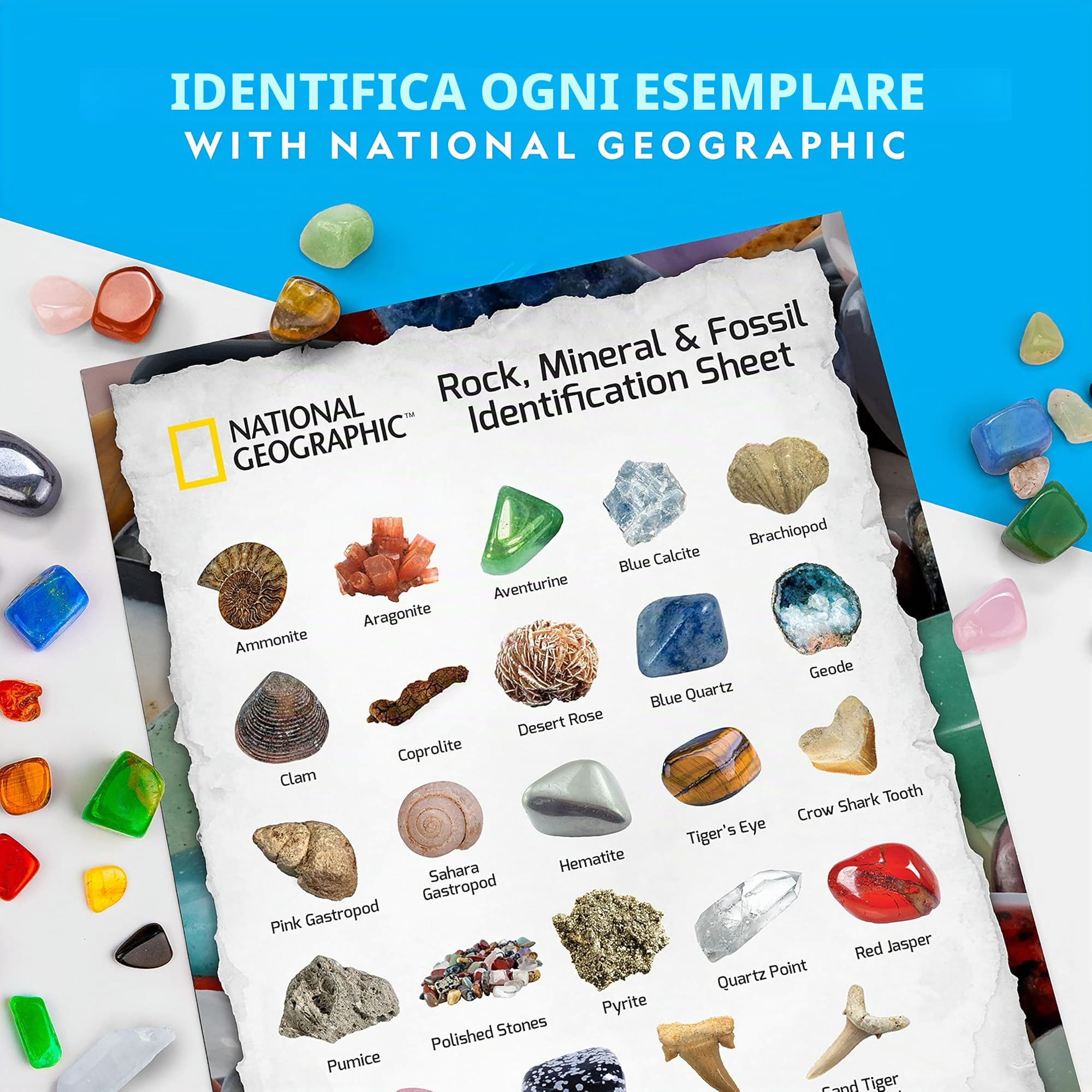National Geographic - Kit di rocce e fossili – Una raccolta da 200 pezzi che comprende geodi, fossili veri, quarzo rosa, diaspro, avventurina e altre rocce, cristalli e pietre preziose