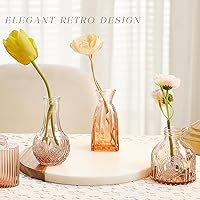 Vista 3 de Juego de jarrones de vidrio para brotes de 30 piezas, pequeños jarrones de flores, jarrones de vidrio para centros de mesa, jarrones de brotes