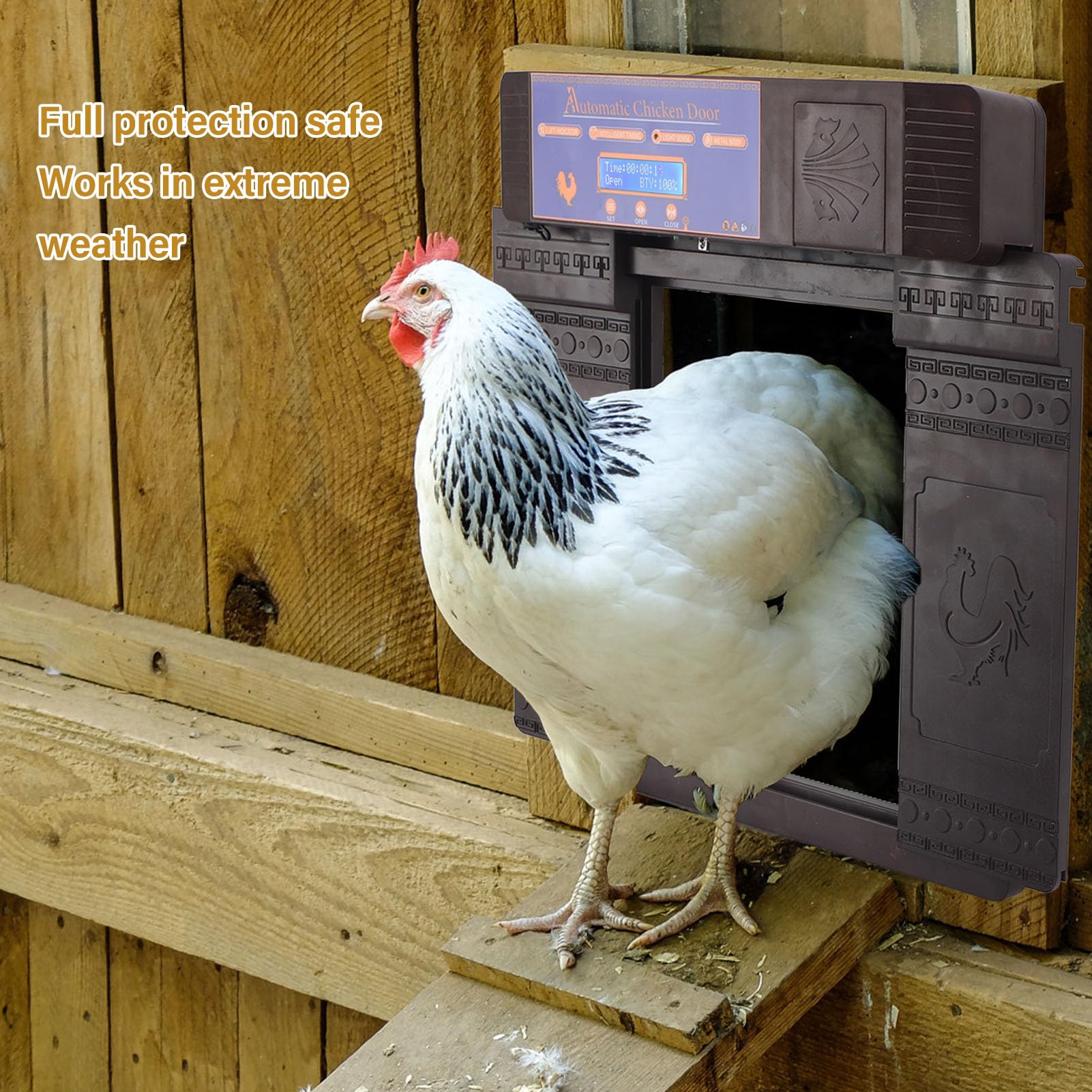 Porta automatica per pollaio con telecomando e sensore di luce, impostazione del timer, apriporta automatico per pollai per polli, anatre e oche, funzione di sicurezza (Marrone scuro)