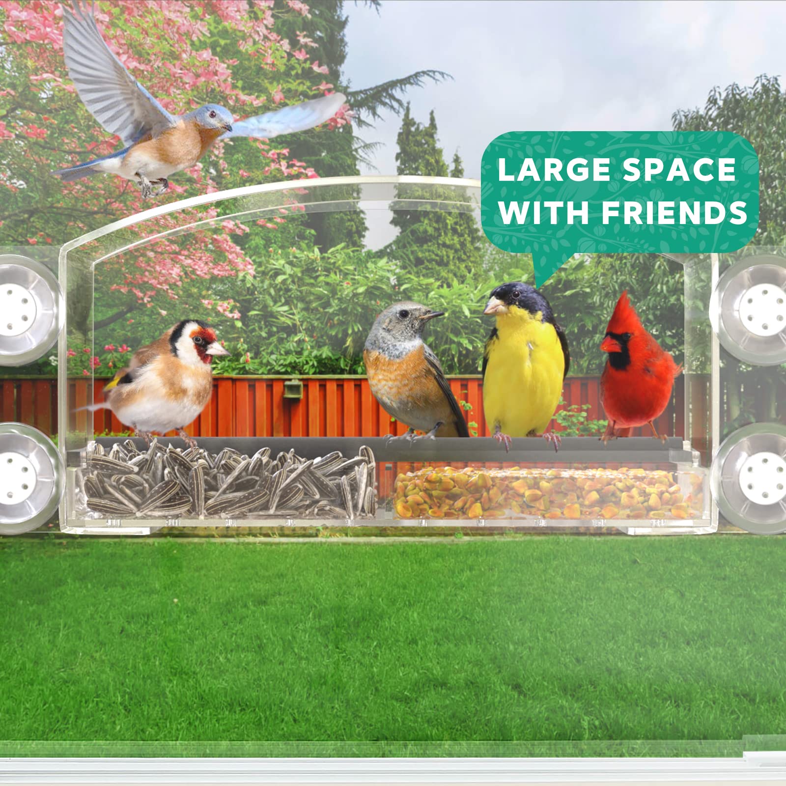 Snapklik.com : Hycency Window Bird Feeder Window Bird Feeders