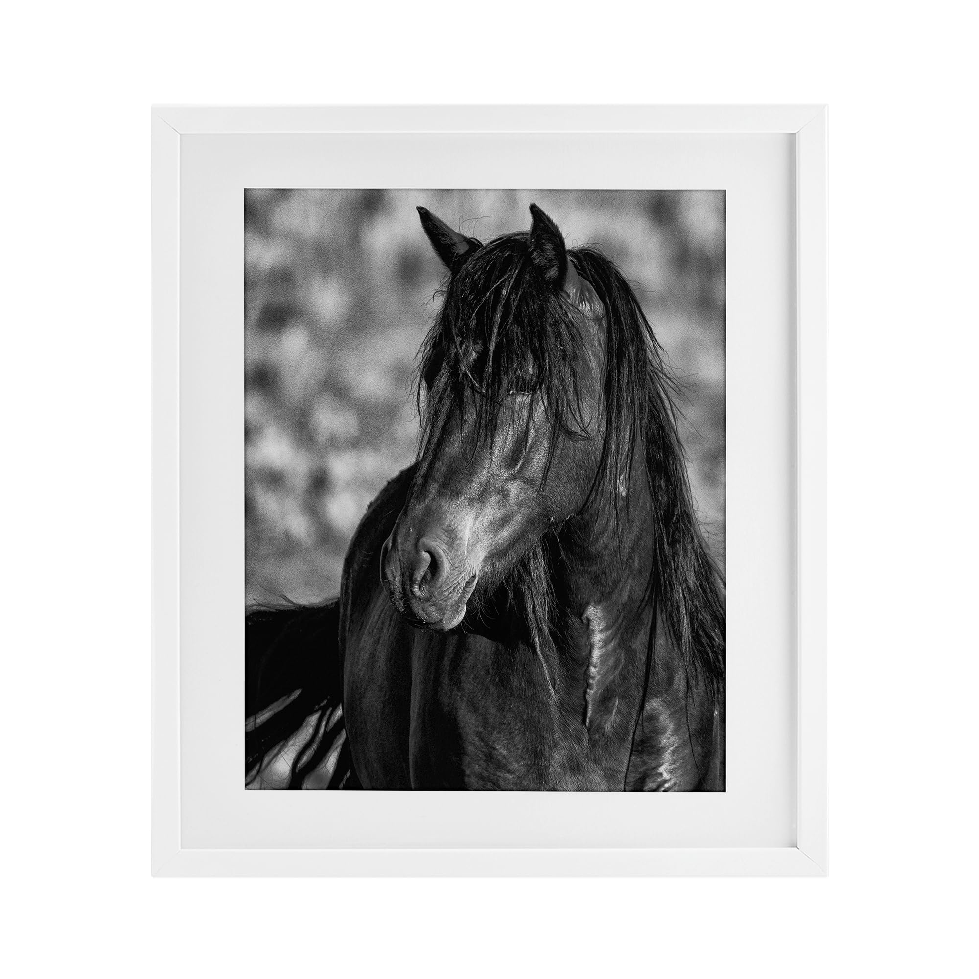 Stupell Industries 'Beauty In Black', Framed Print Under Glass, White, 13 x 16 Inches, Easy to Hang and Sturdy, Made in USA, by Tim West