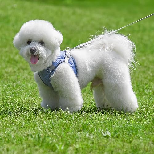 Miniatura 6 de Juego de arnés y correa suave para perro para caminar, arnés de verano con chaleco, bandas reflectantes, suministros para mascotas ultra finos y