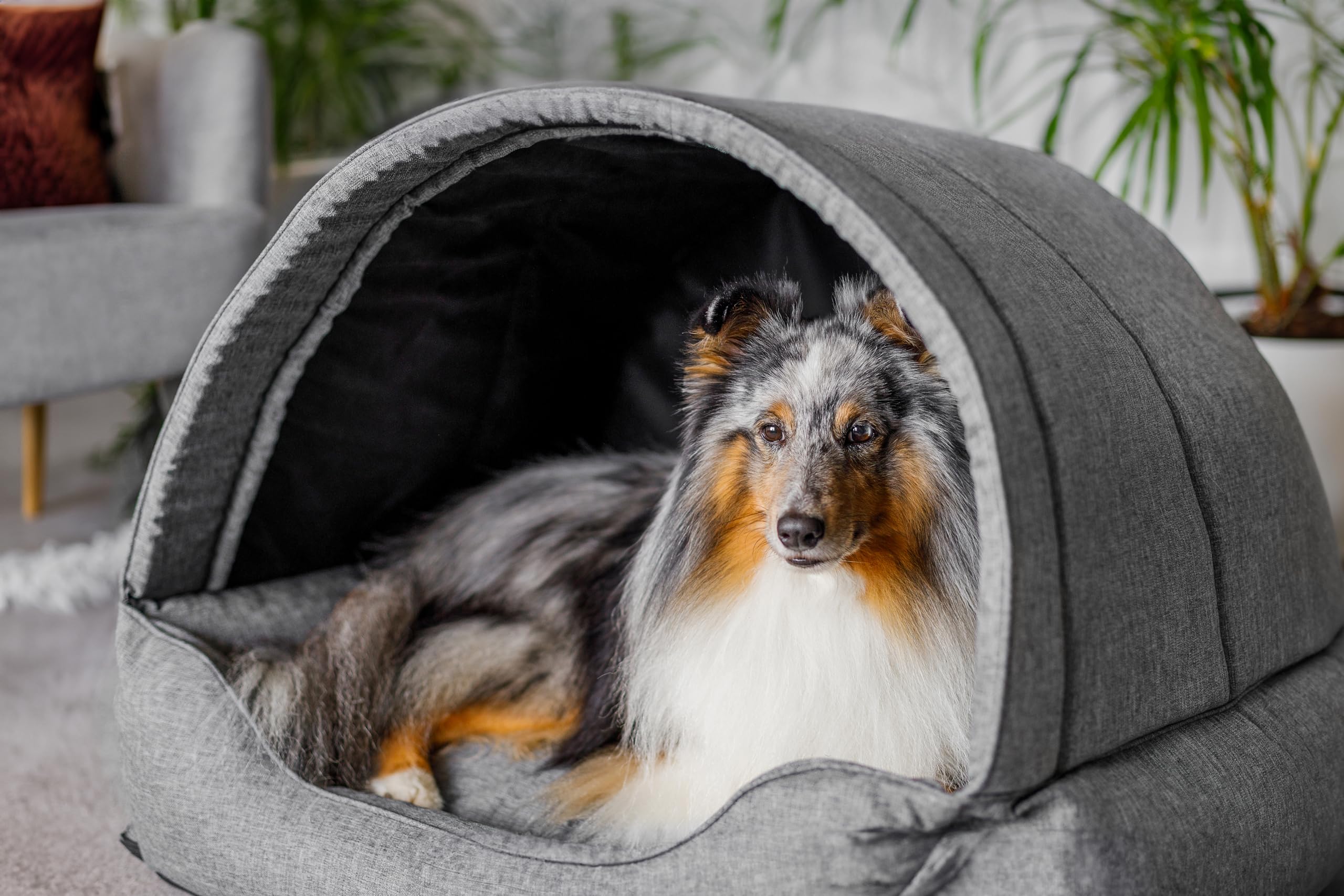 Hundebett & Hundehütte in einem - Hundehaus mit Dach für kleine und mittelgroße Hunde - Hundehöhle - Hundebox - Hundesofa - Bezug abnehmbar & waschbar - stabiles Hundekorb - 60x 47 cm