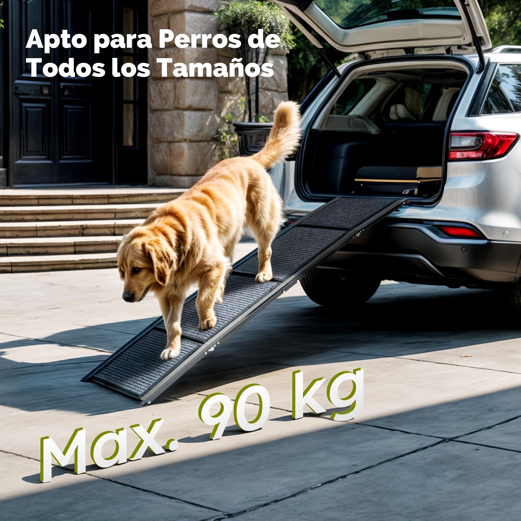 CO-Z Rampa para Perros para Coche, 160 cm Rampa Plegable para Mascotas de hasta 90 kg Superficie Antideslizante para Coche SUV Camioneta Cama Sofá