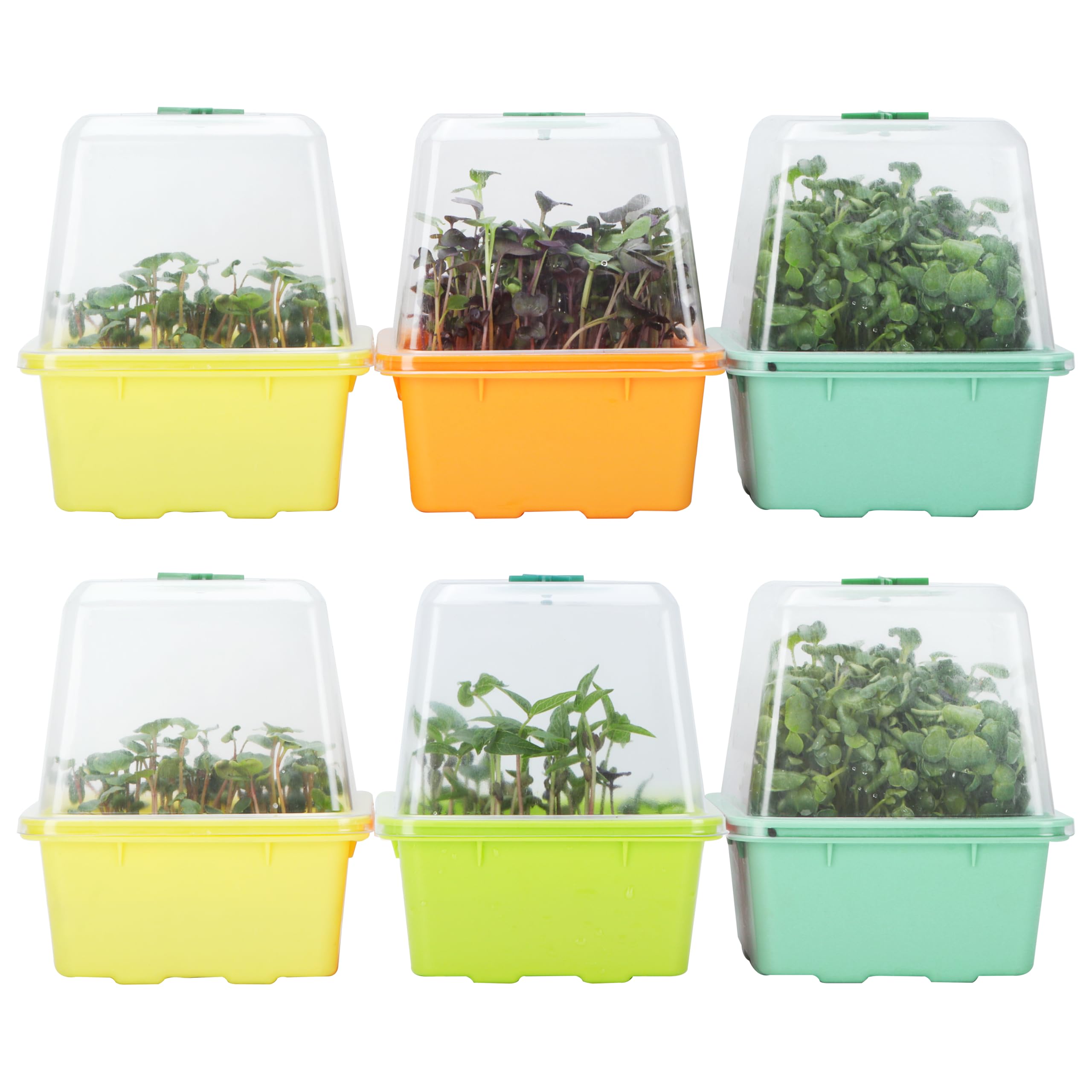 LUVCOSY 6 bandejas de cultivo de brotes de brócoli, bandeja de germinación Microgreen, kit de inicio de semillas reutilizable sin BPA con cúpula de humedad de plástico para brócoli saludable, afalfa,