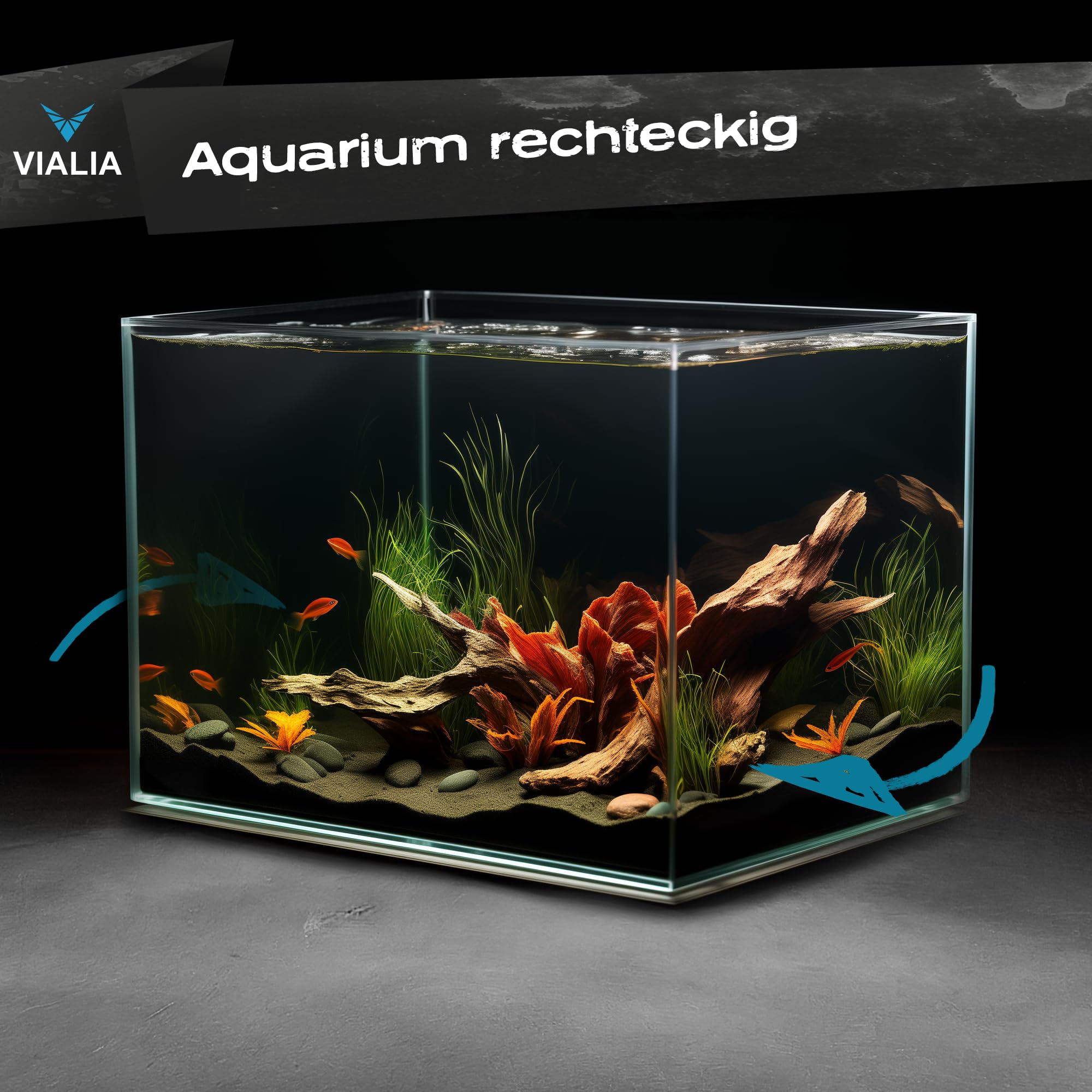 Aquarium 12 Liter Glasbecken 30x20x20 cm | Stoßfest verklebt & diamantgeschliffene Kanten | Kratzfestes Floatglas | Für Süß- & Salzwasser | Becken für Fische, Garnelen & Wasserpflanzen