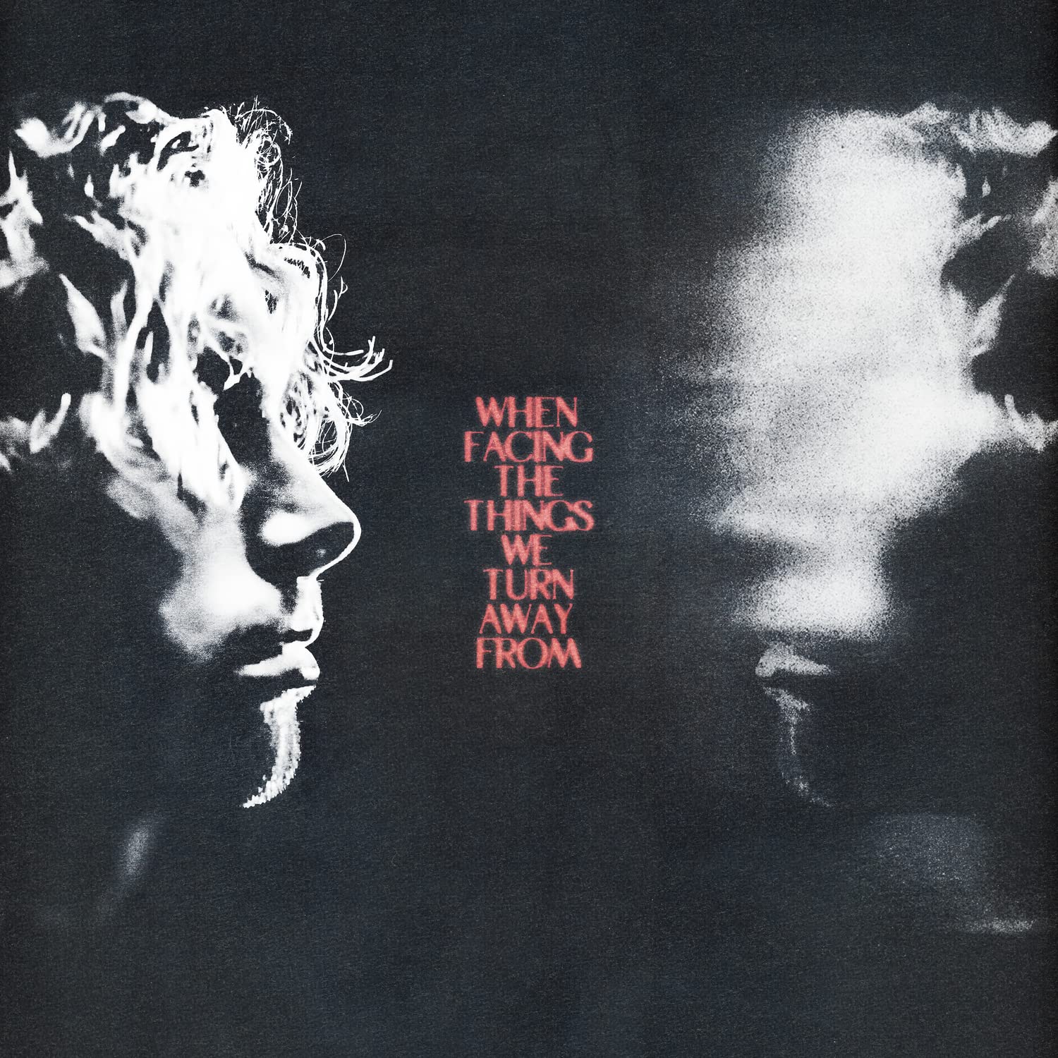 When Facing The Things We Turn Away From (Vinyl)