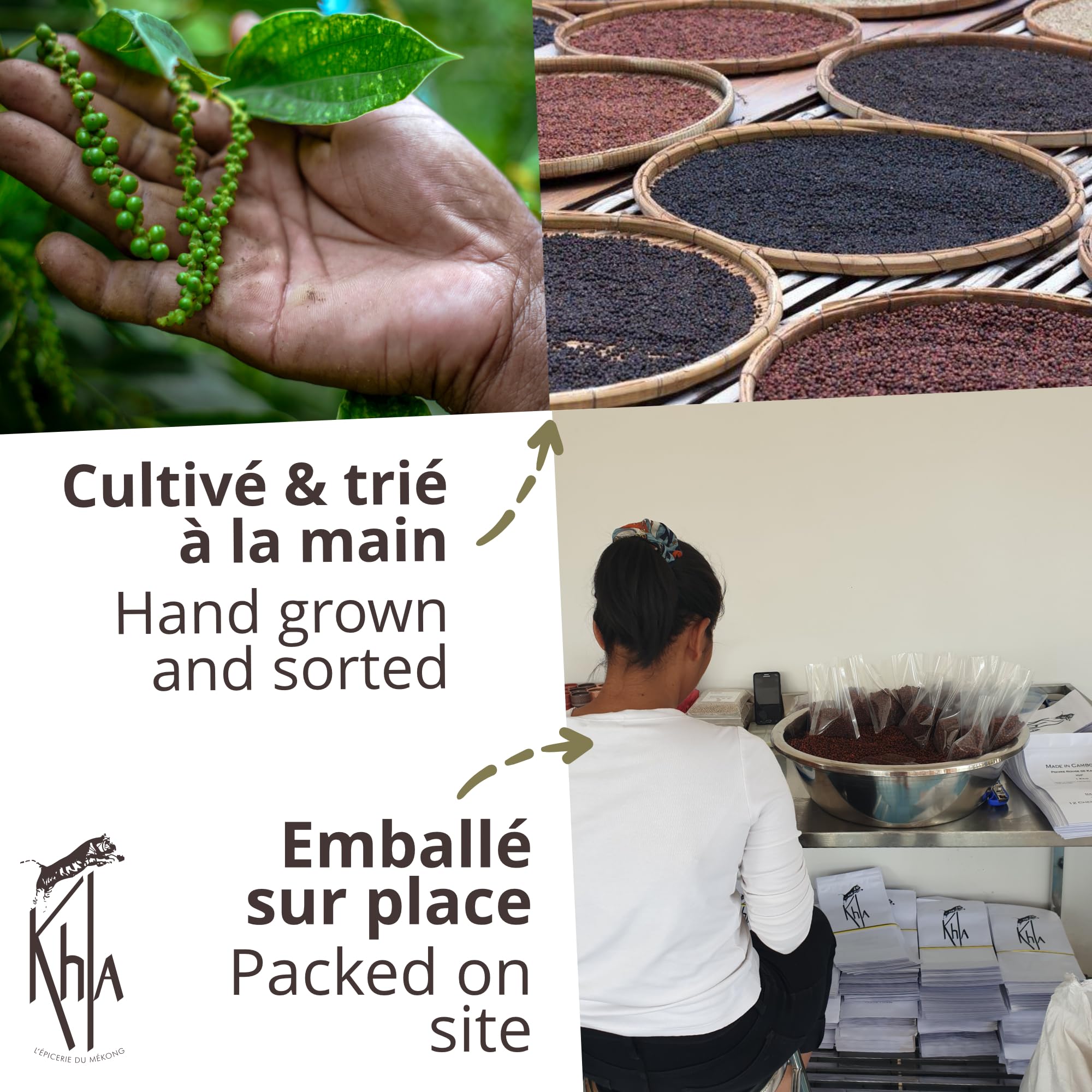 Khla - Poivre Vert Frais de Kampot Certifié Bio 500 g - Sachet Poivre en Grains Biologique - Grand Cru, Aromatique & Végétal - Direct Producteur - Apéritif, Sauces - Origine Cambodge