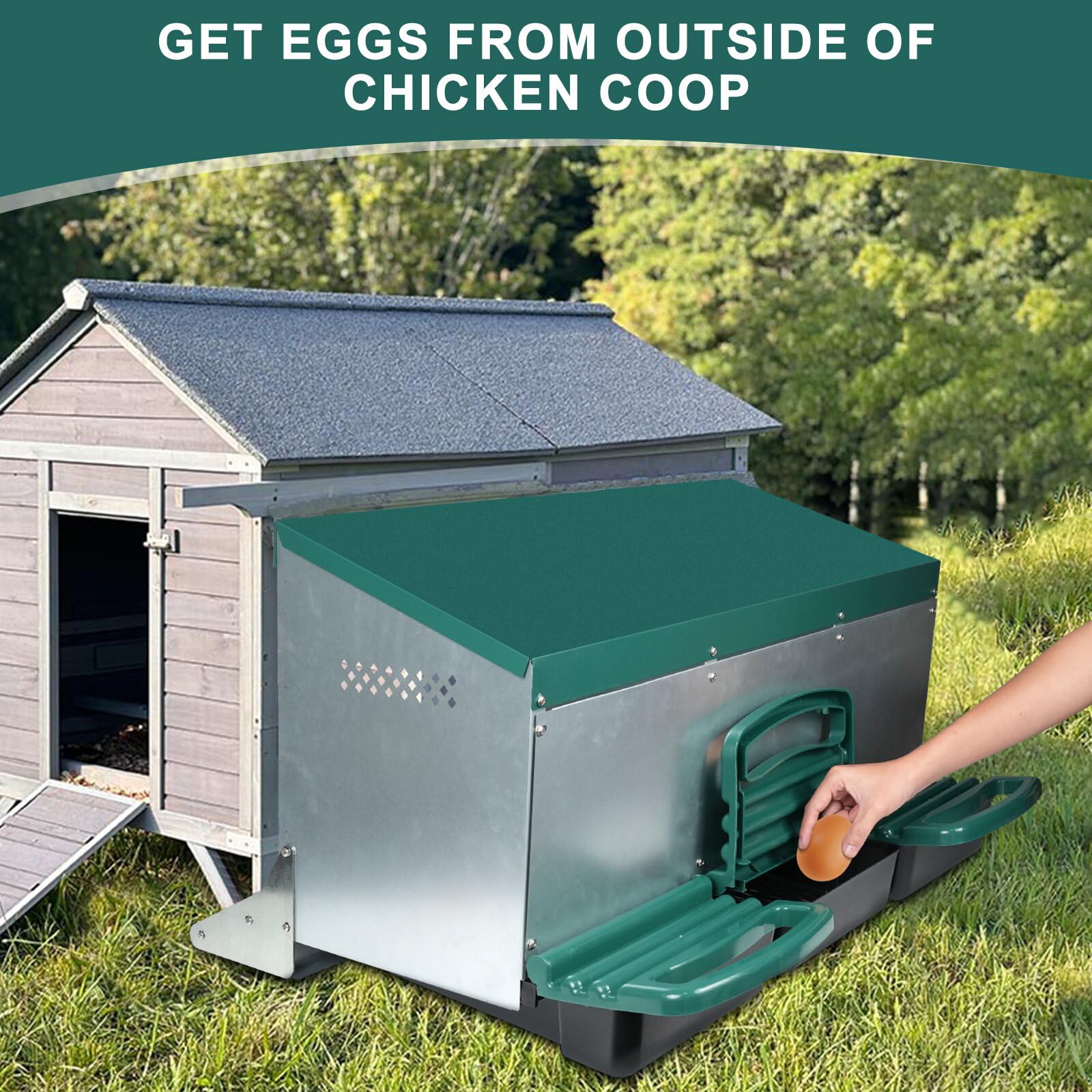 Cajas de Metal con 3 Agujeros para Poner Huevos