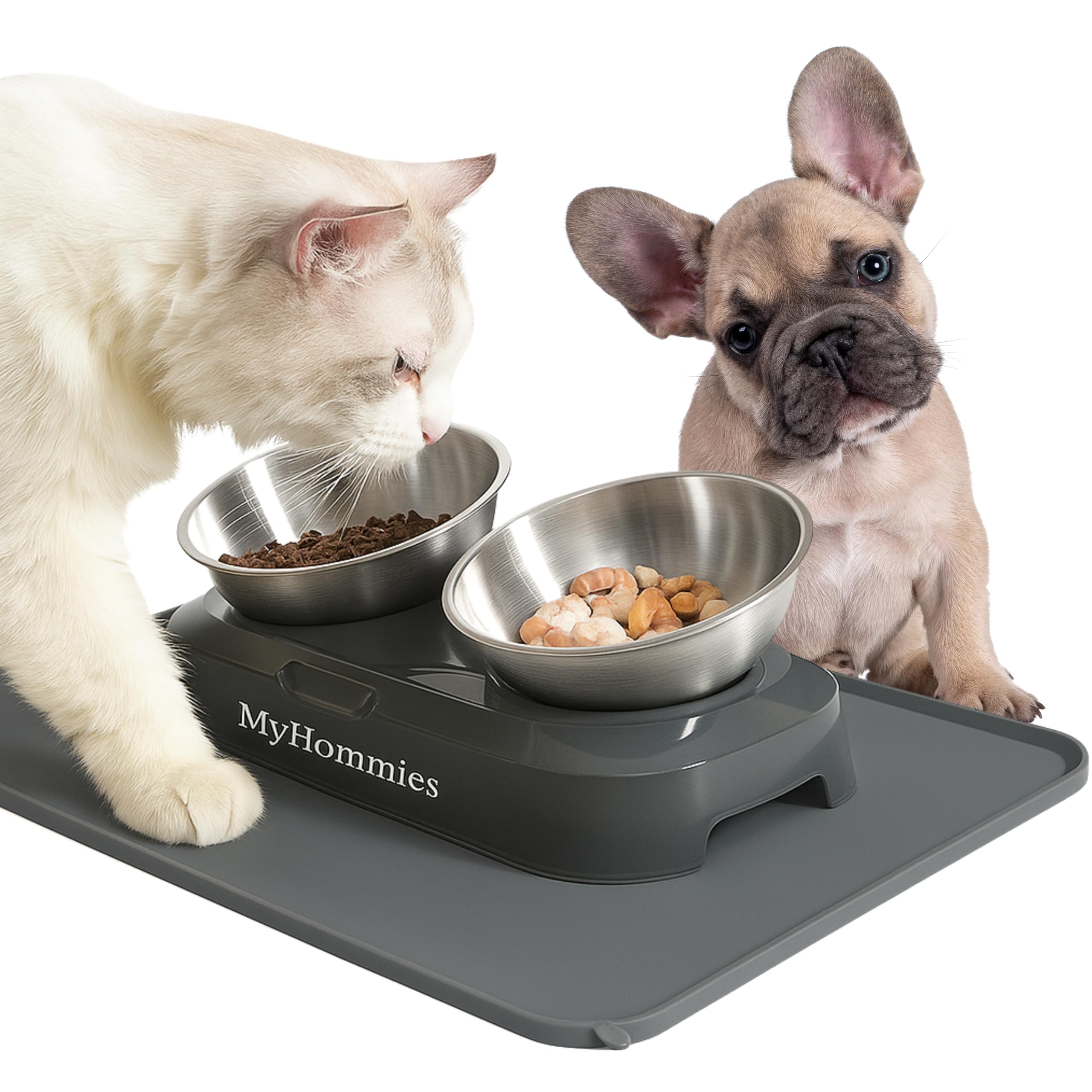 Ciotola Gatto Rialzata e Inclinata 15°, Doppia Ciotola Anti Vomito per Gatti e Cani Piccoli, Acciaio Inox 304, Antiscivolo con Tappetino in Silicone, MyHommies