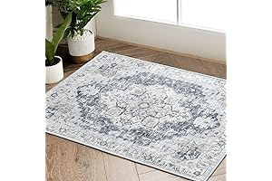jinchan Area Rug 2x3 Washable Rug Indoor Entryway Vintage Rug Grey Multi...