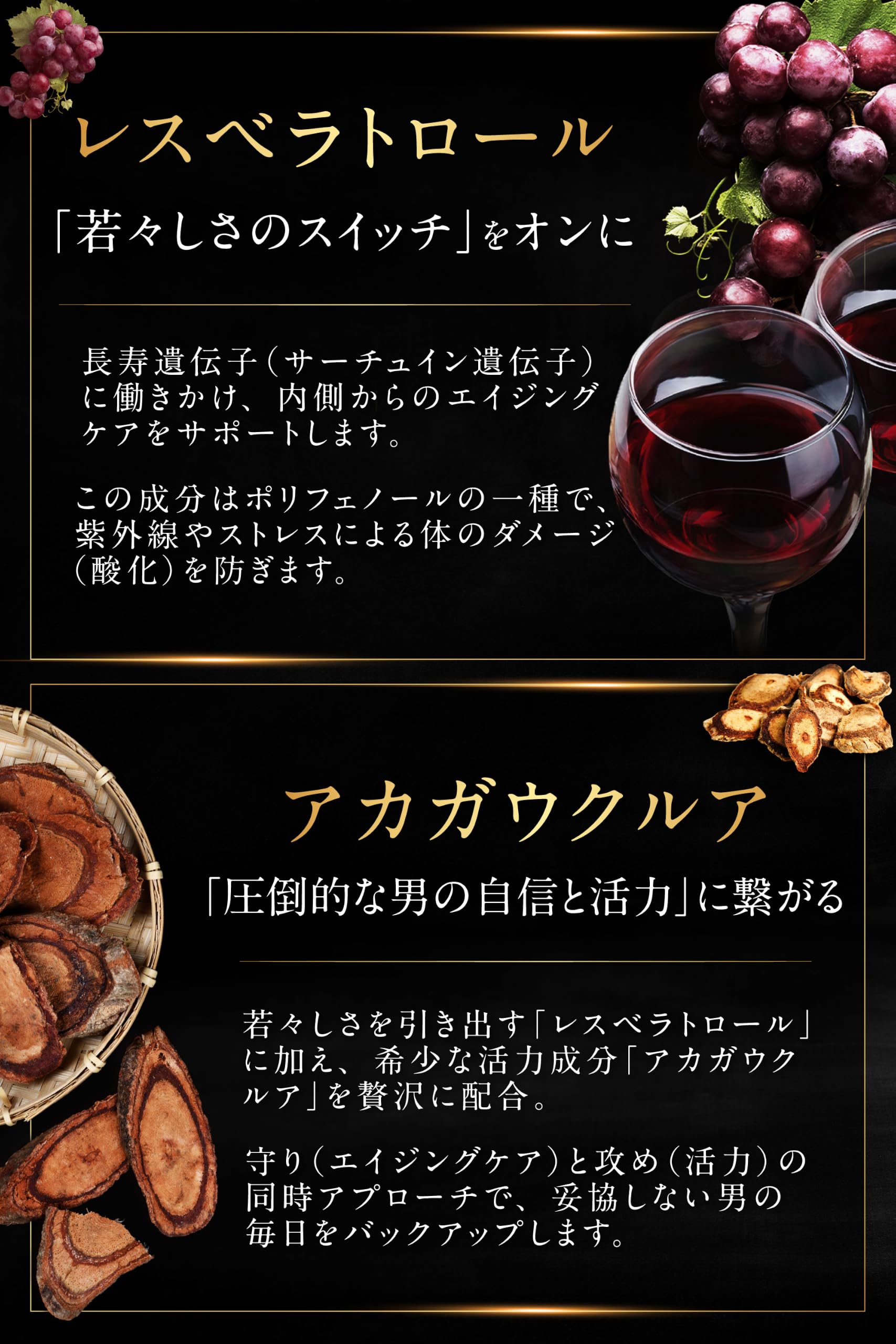 Amazon | 【公式】ヴィトックス アルファ VITOX α 男性 サプリ 【 100