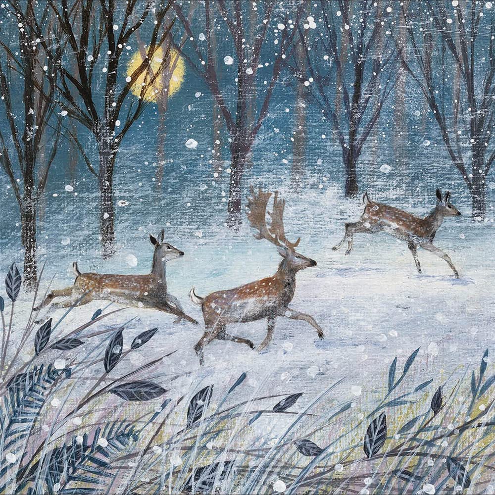 Woodmansterne Artistic Charity Christmas Cards - RSPB Winter Wildlife Scenes - Eco-Friendly & Recyclable - Box of 20 Cards - Image 4