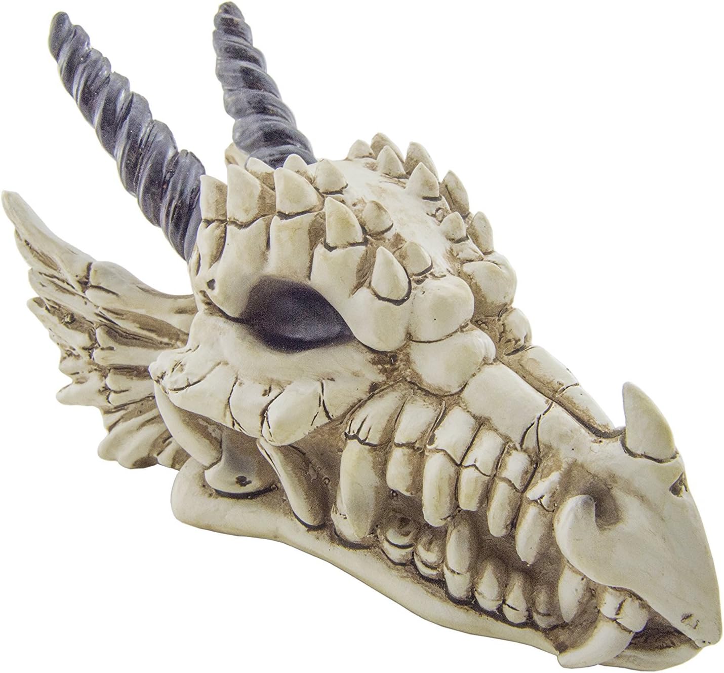 Gifts & Decors Dragon Skull Coin Bank, Resin, Multicolor