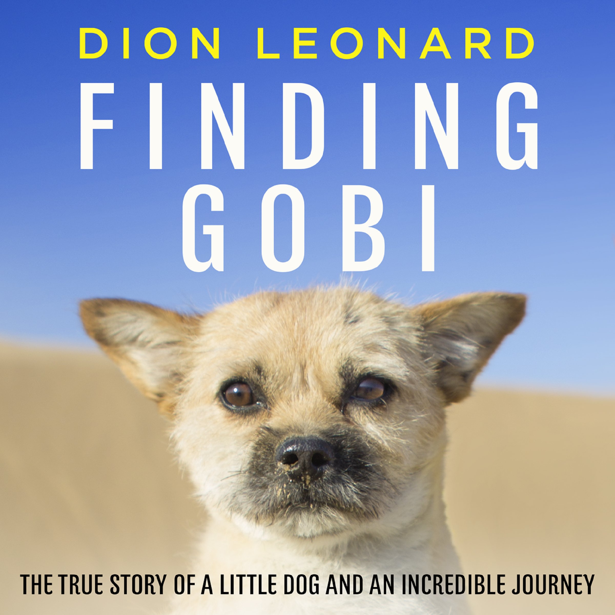 Cover art for Finding Gobi