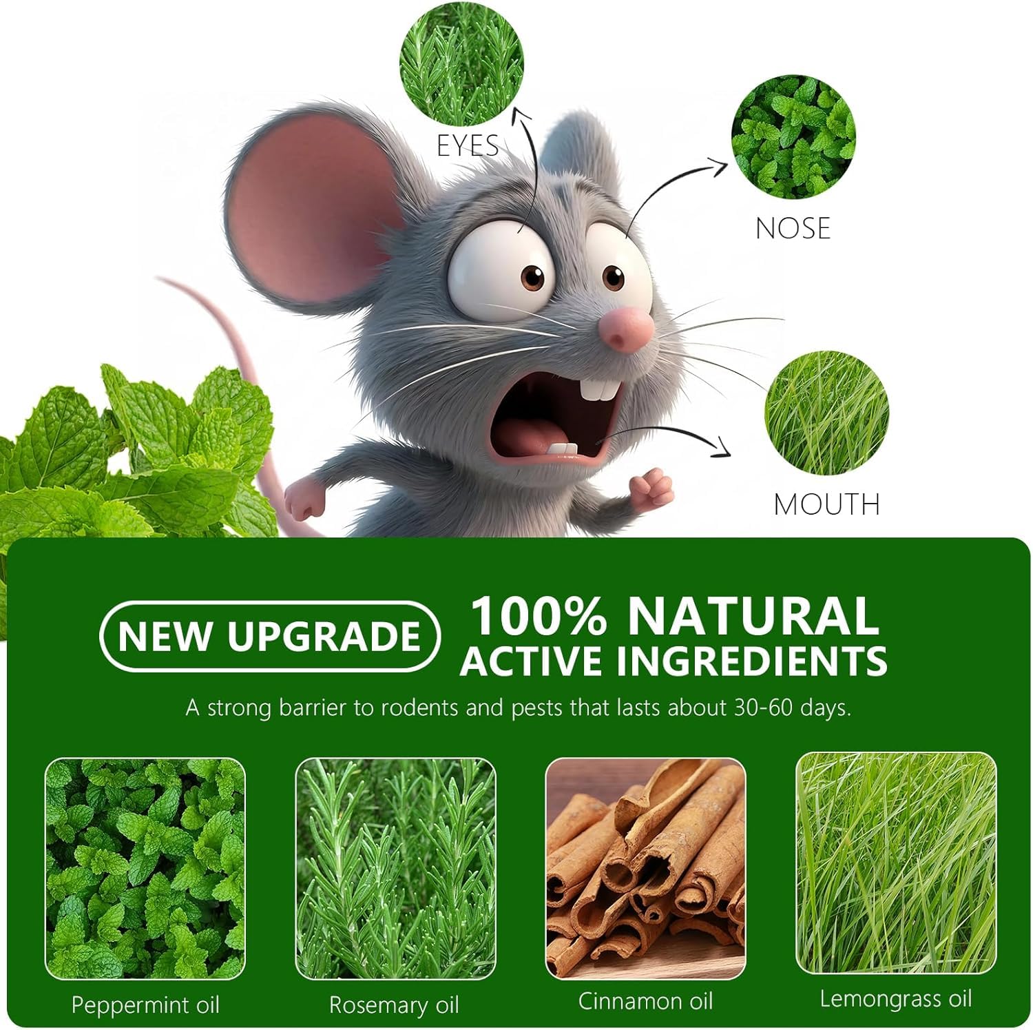 36 Pezzi Palline Repellenti all'Olio di Menta per Topi, Ragni, Scarafaggi e Insetti - Esche Vegetali Naturali per Scacciare Roditori e Parassiti da Auto, Casa e Garage - Sicure per Bambini e Animali