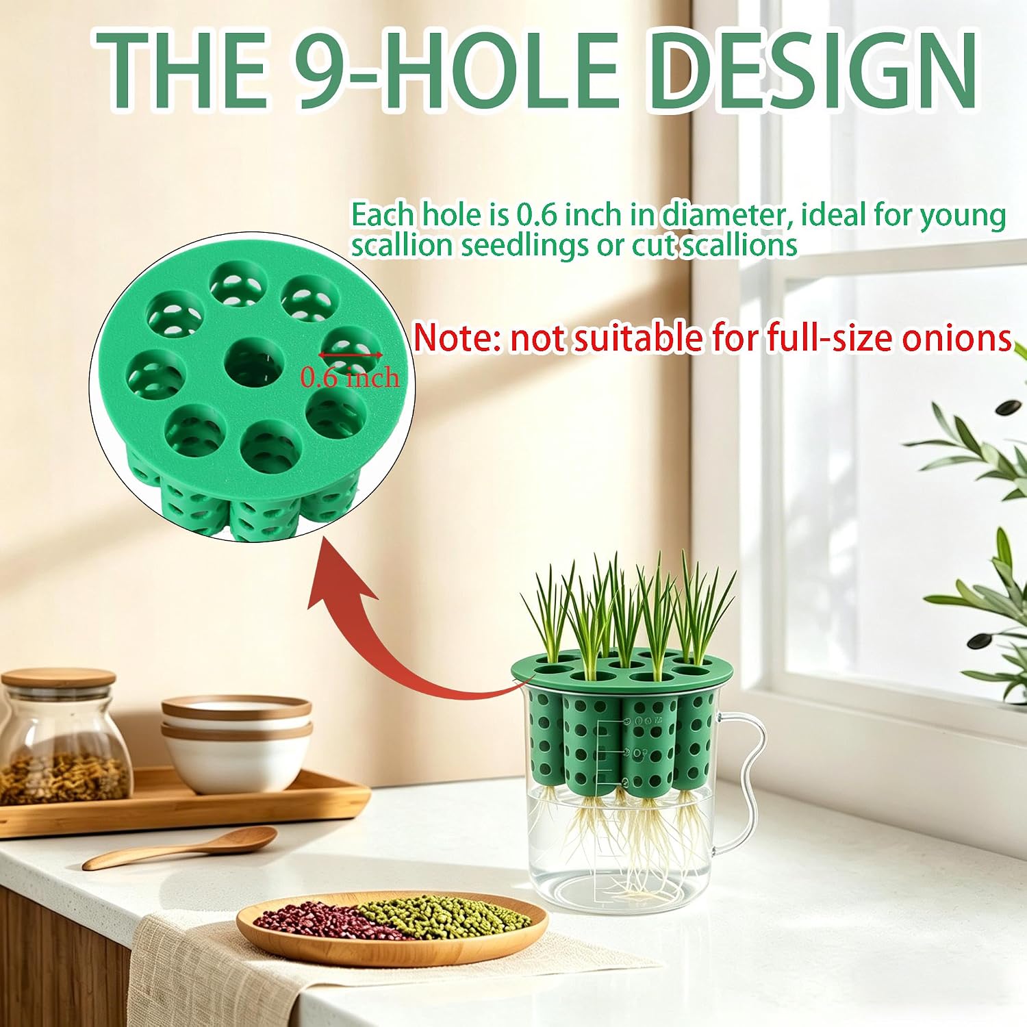2Set Green Onion Planter Scallion Regrower Seed Sprouting Kit | 2 Green Onion Grower Container & 2 Plastic Cup with Handle for Windowsill Garden Indoor Hydroponic Propagation Enthusiast