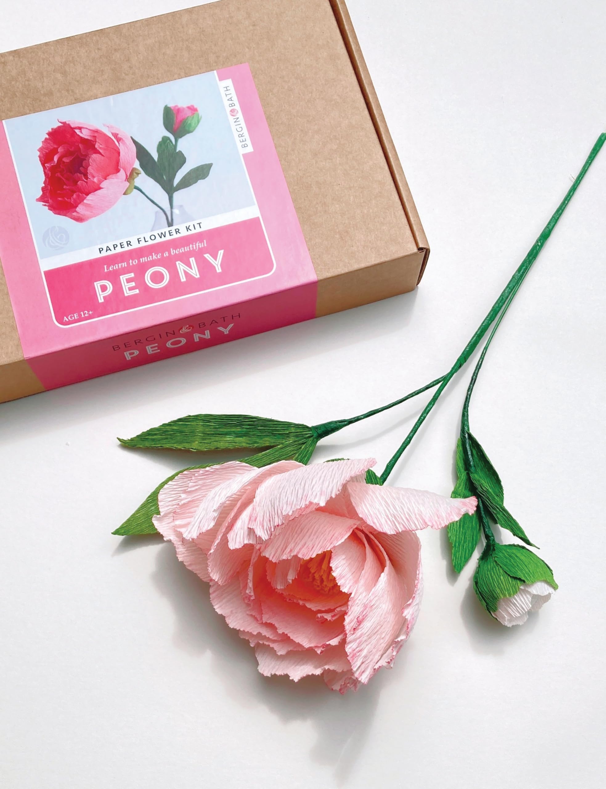 Bergin & Bath Paper Flower Kit - Peony. Papercraft kit for Women. A Creative Gift idea, Pink, Large - Image 2