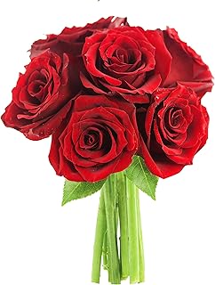KaBloom - Long Stemmed 6 Red Roses Direct Fresh - Fresh Flowers for Birthday, Valentine's & Mother's Day