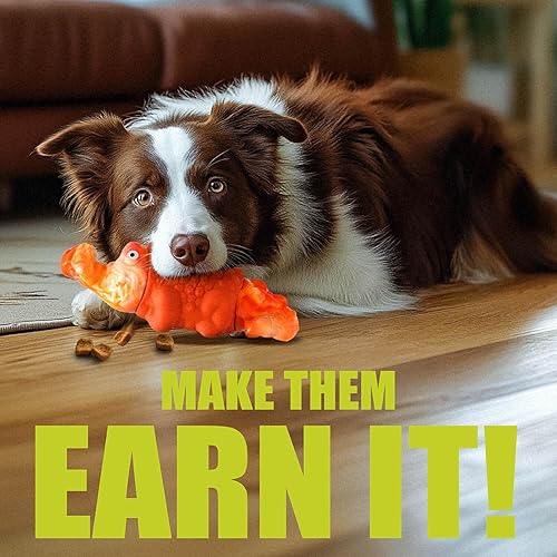 Tough Dog Chew Toys for Aggressive Chewers, — close-up of materials and construction quality