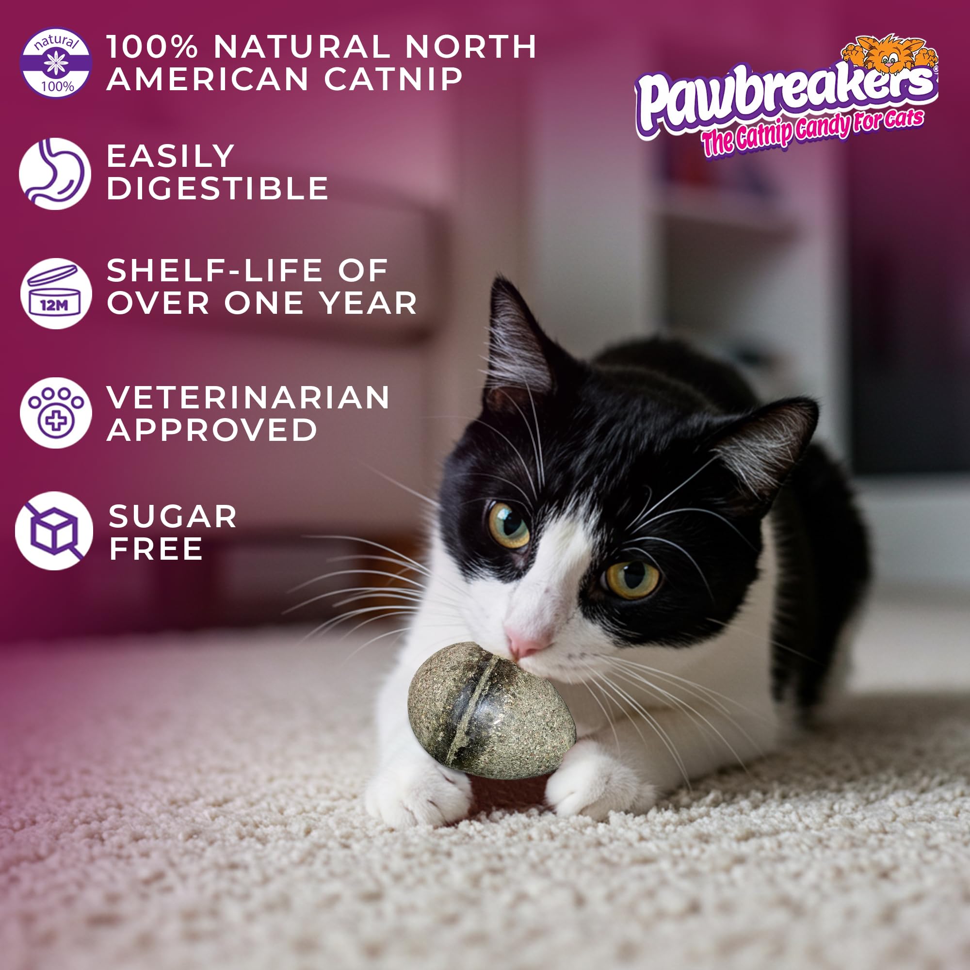 2 x Catpurry Eier - 100% natürliche Katzensüßigkeiten, Leckereien und Katzenminze Spielzeug in medizinischer Qualität, Katzenminze für entspanntes, sicheres und verdauliches Spiel, hypoallergen