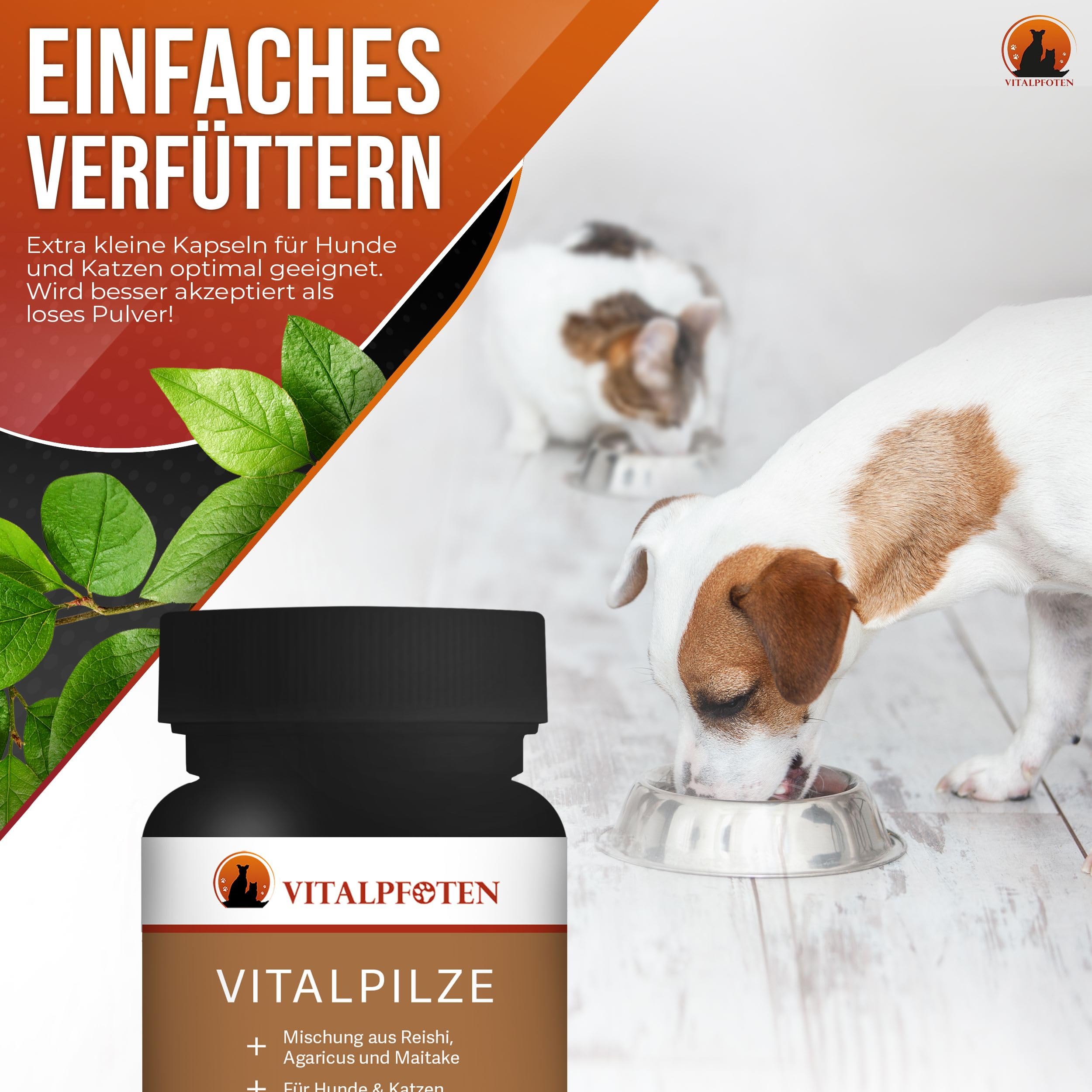 3x75 Vitalpilze Kapseln für Hunde & Katzen mit Heilpilz-Extrakt aus dem ganzen Fruchtkörper für das Immunsystem und Fellpflege