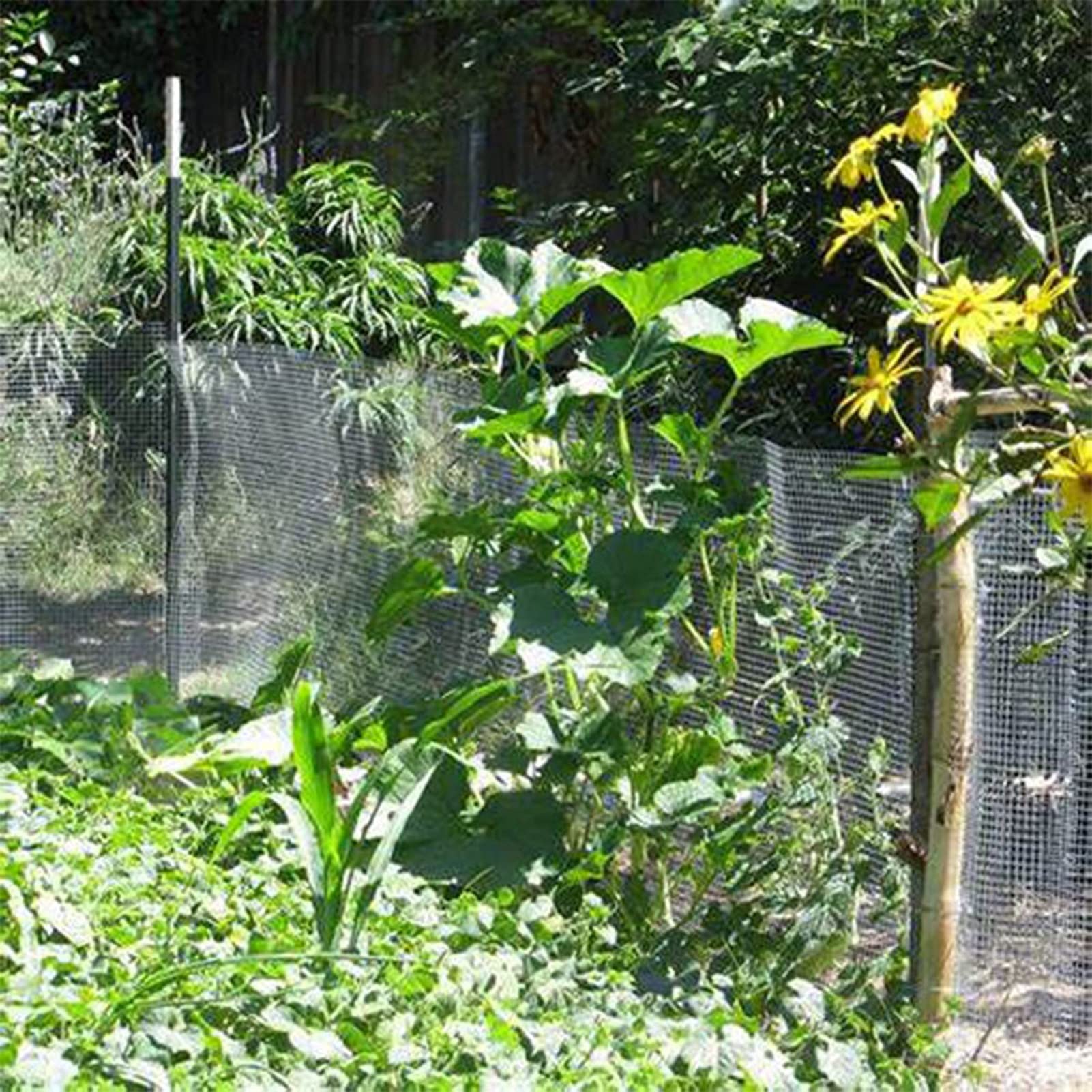 Malla metálica de Acero Inoxidable 304 - Malla metálica Cuadrada de 1/2 Pulgada para jaulas de Conejos, jardín, Frutas y Animales - 1 m x 8 m (39 Pulgadas x 36,2 pies)