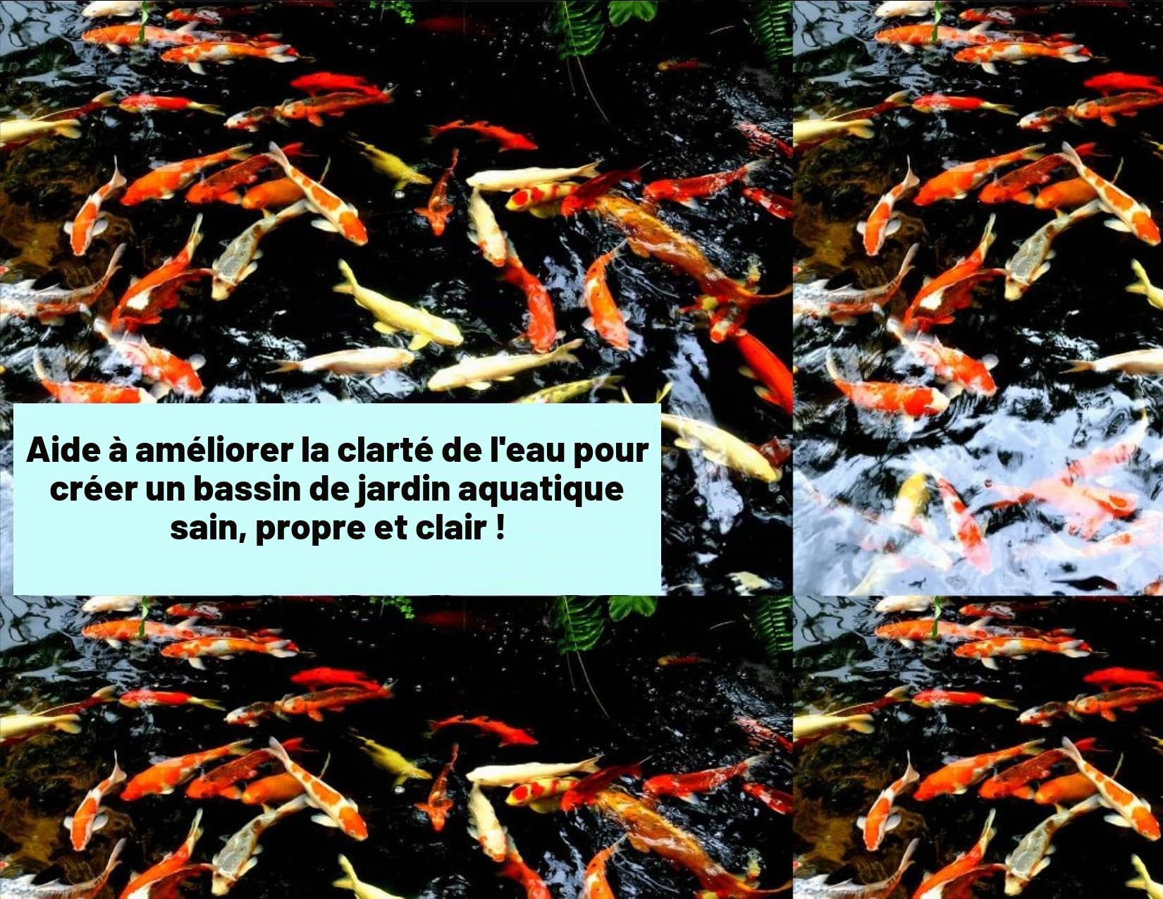 Pierre à air 200 mm - Plaque lourde - Aération pour bassins à koï et aquariums - Pierre à air pour plus grande pompe - Diffuseur de bulles pour bassin extérieur - Système de circulation de jardin