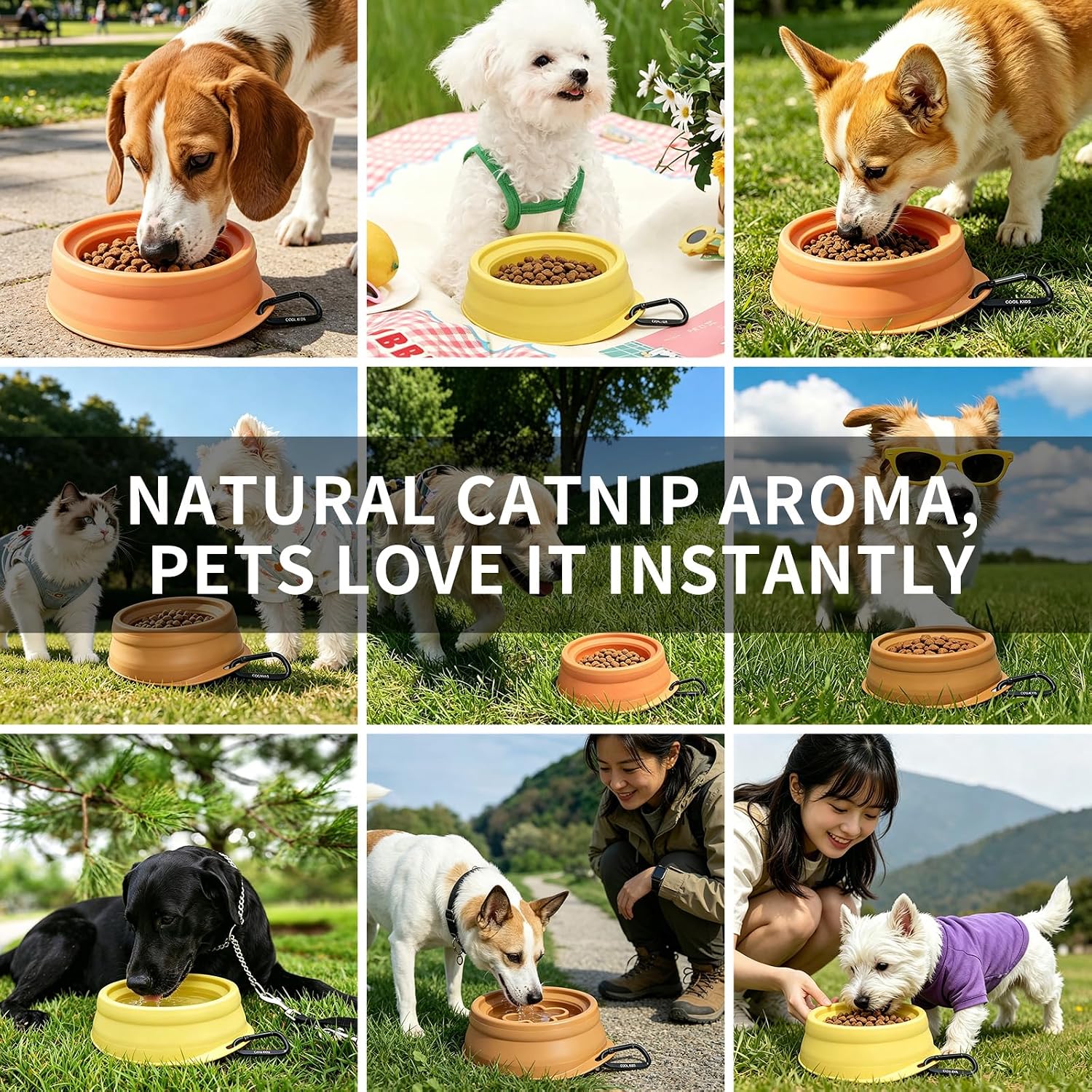 Cool Kids Collapsible Dog Bowl – Portable Anti-Tip Double-Sided Pet Bowl image 3