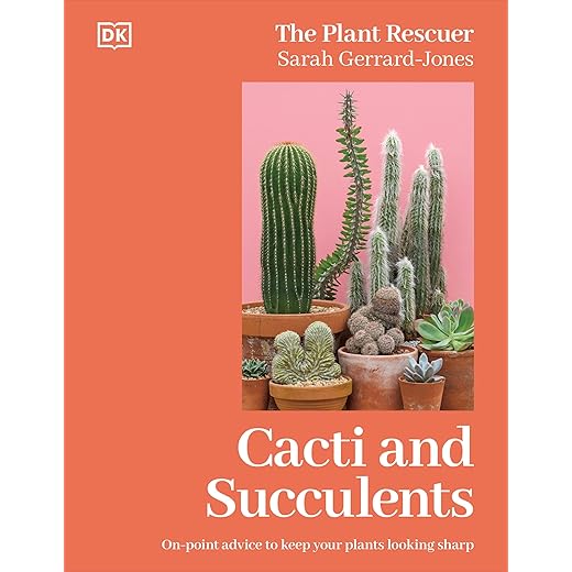 Cacti and Succulents: On-point Advice to Keep Your Plants Looking Sharp