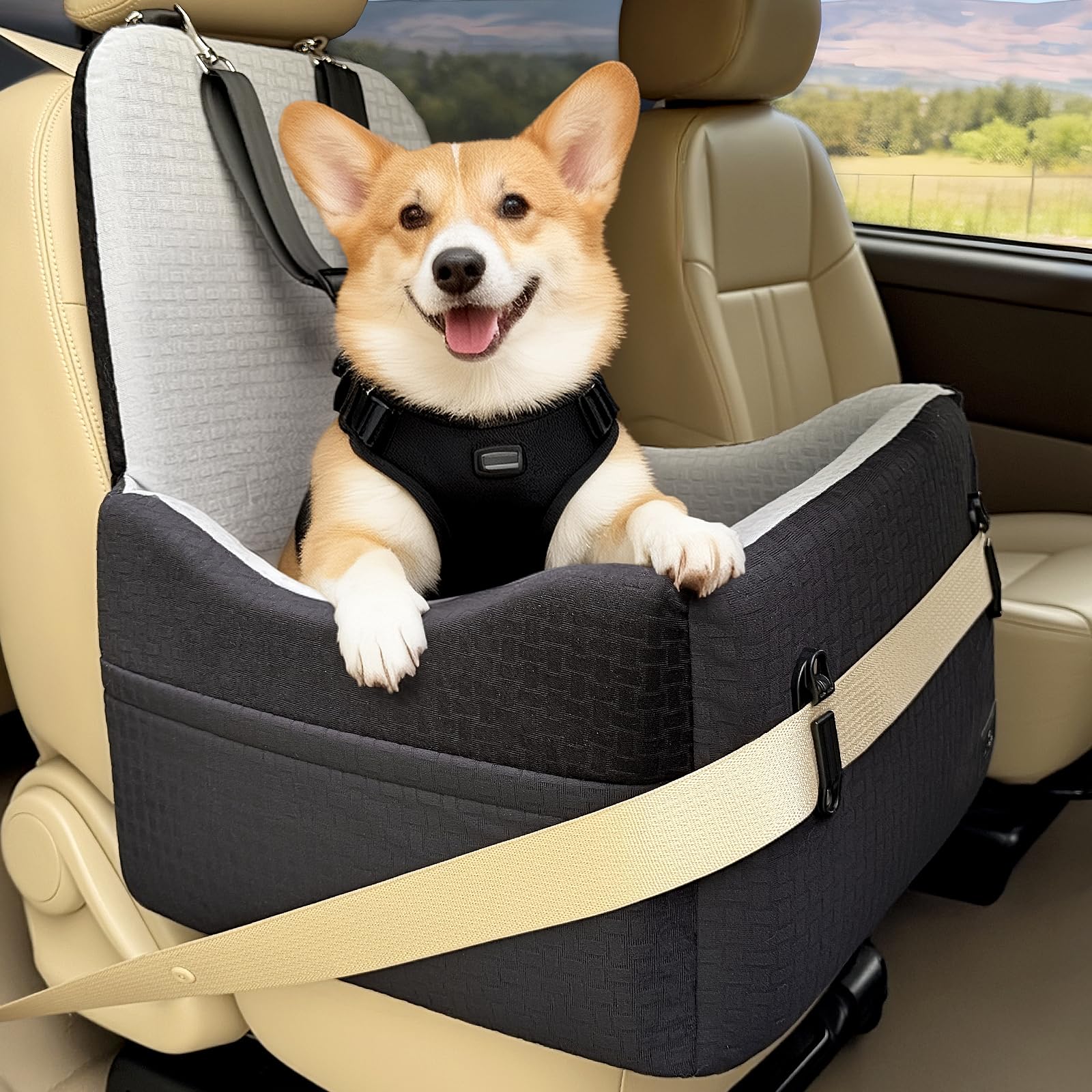 PETSFIT Seggiolino Auto per Cani di Taglia Piccola/Media fino a 15 kg – Sistema di Sicurezza Brevettato, Rialzo con Memory Foam da 13 cm, Sfoderabile e Lavabile, 2 Tasche Portaoggetti (Nero & Grigio)