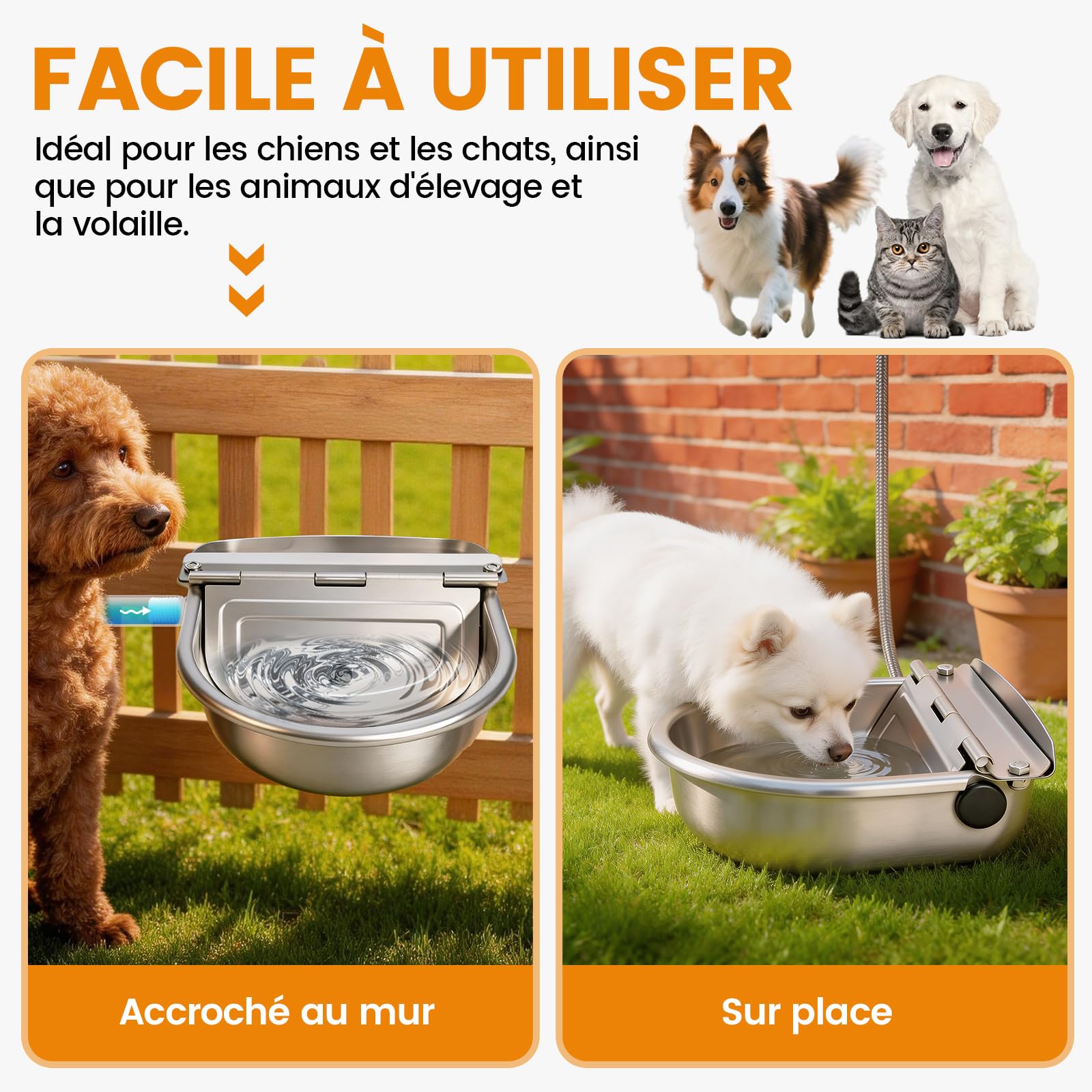 Abreuvoir Automatique en Acier Inoxydable pour Chiens et Bétail, 2 Vannes à Flotteur Réglables avec Bouchon de Vidange, Abreuvoir Élevage pour Chevaux, Chèvres, Moutons, Bovins