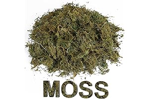 Lifelike Artificial Fake Moss for Plants and Decorations