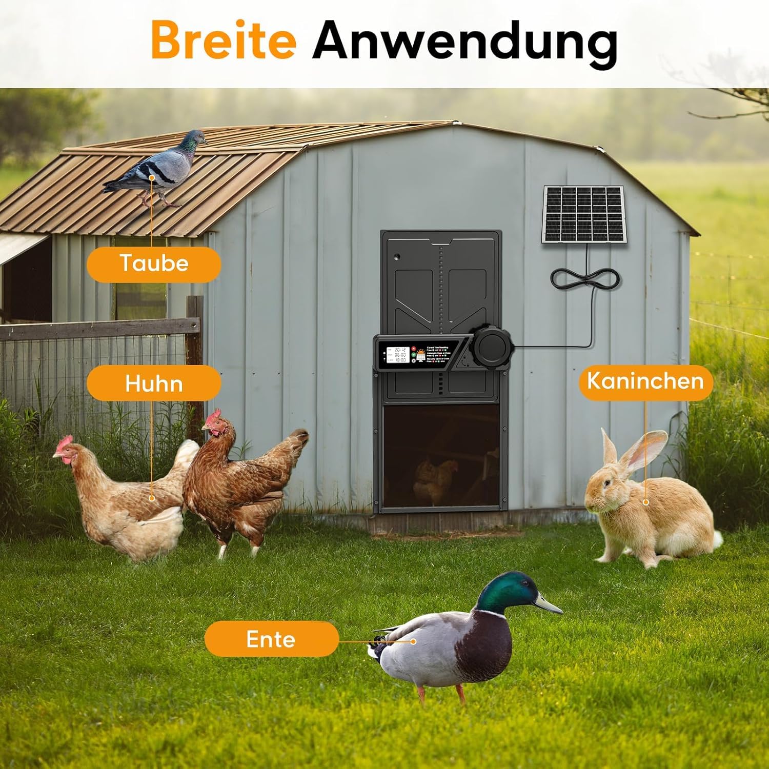 Große Automatische Hühnerklappe Solar, Aluminum Hühnerklappe Automatisch mit Großes Display, Timer, Fernbedienung, Intelligenter Einklemmschutz Elektrische Hühnertür