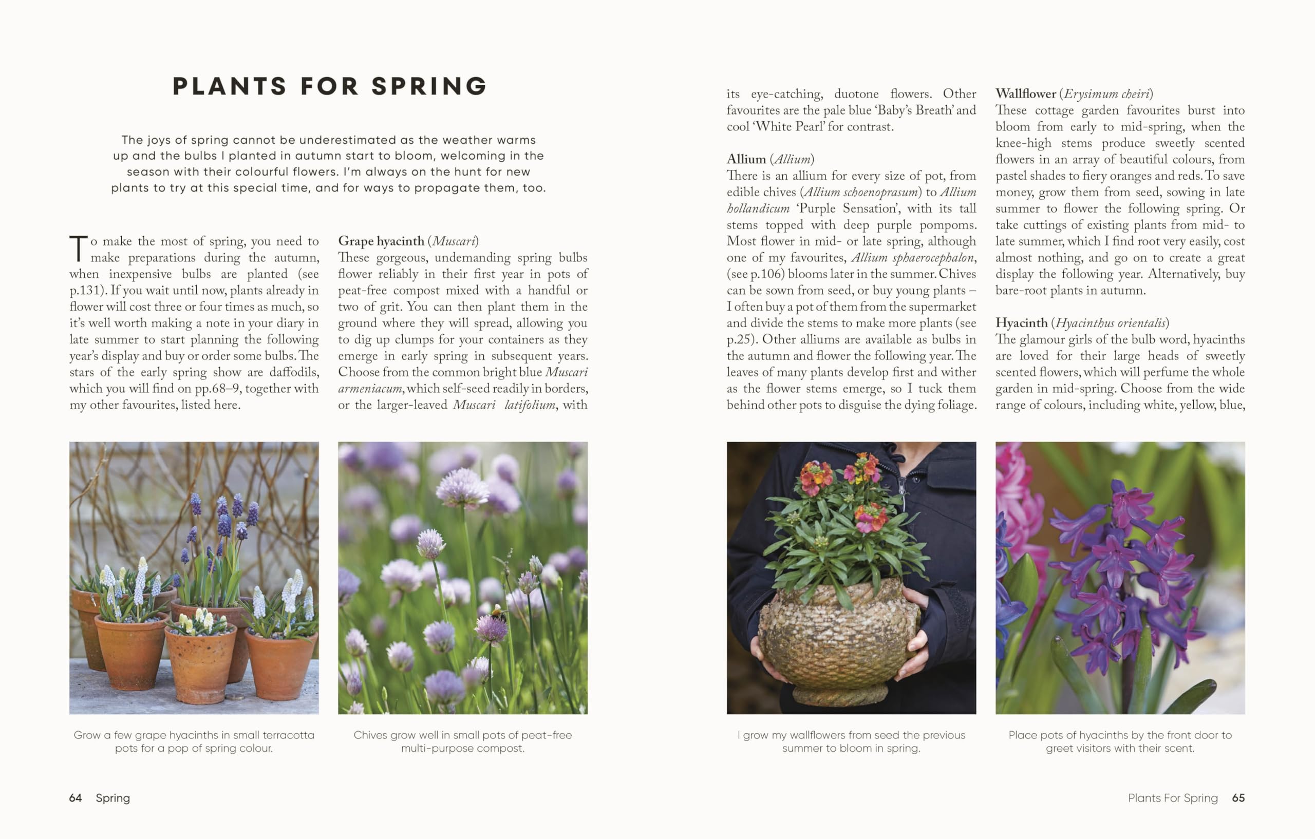 The Money-Saving Gardener Containers: THE INSTANT SUNDAY TIMES BESTSELLER
