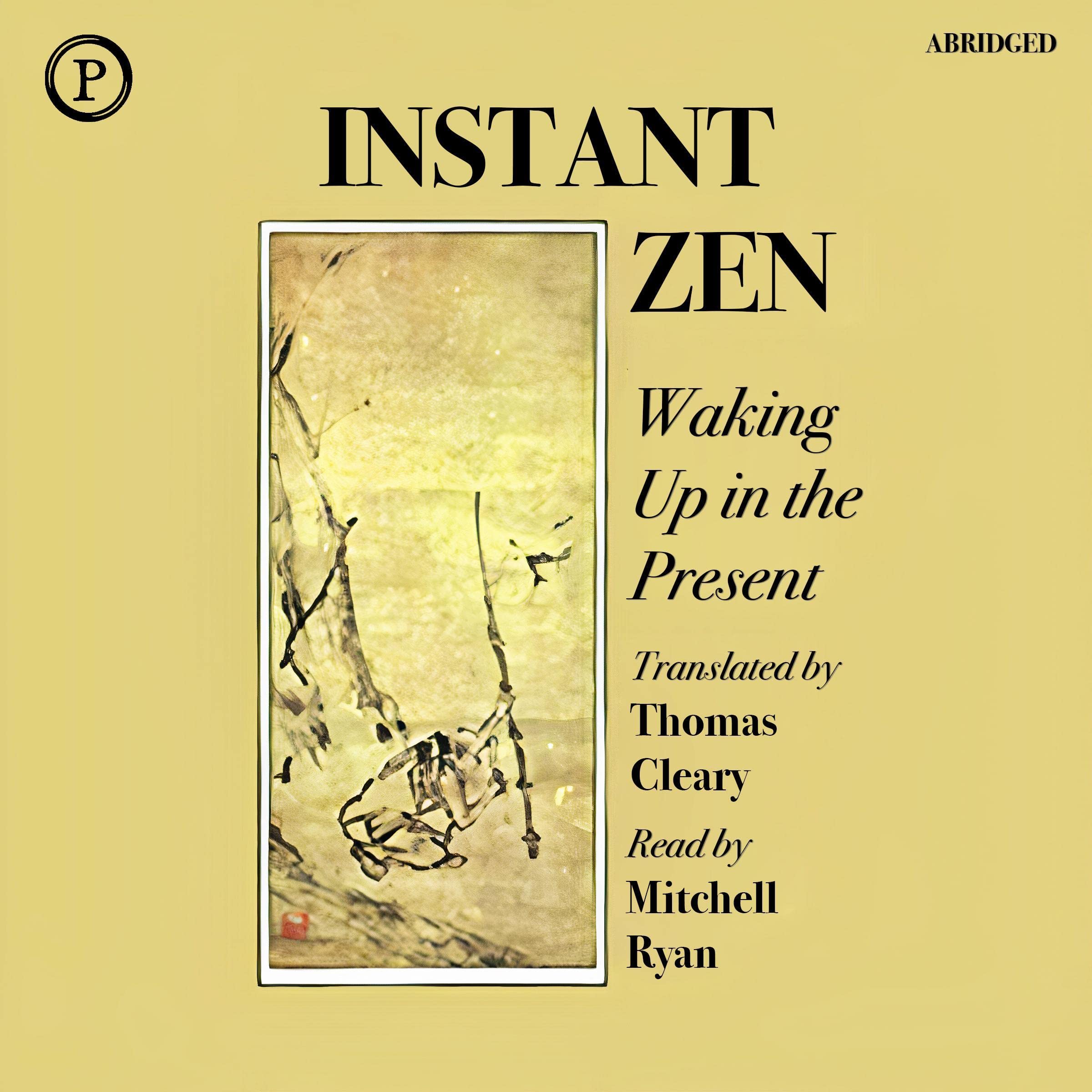 Cover art for Instant Zen