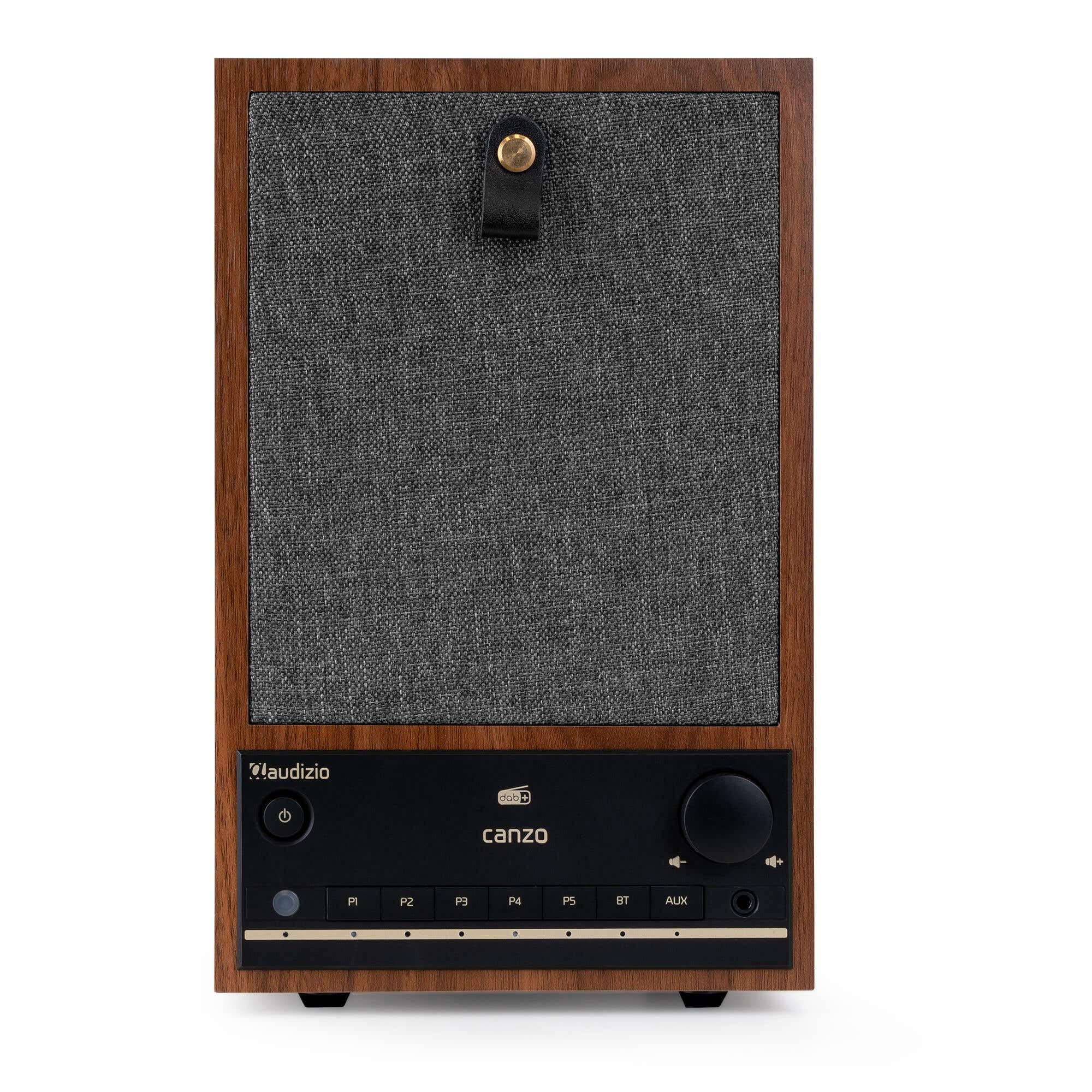 Audizio Canzo Radio DAB Internetradio WLAN Bluetooth 5.3 Digitale Telecomando Cucina Collegamento LAN AUX Line-Out